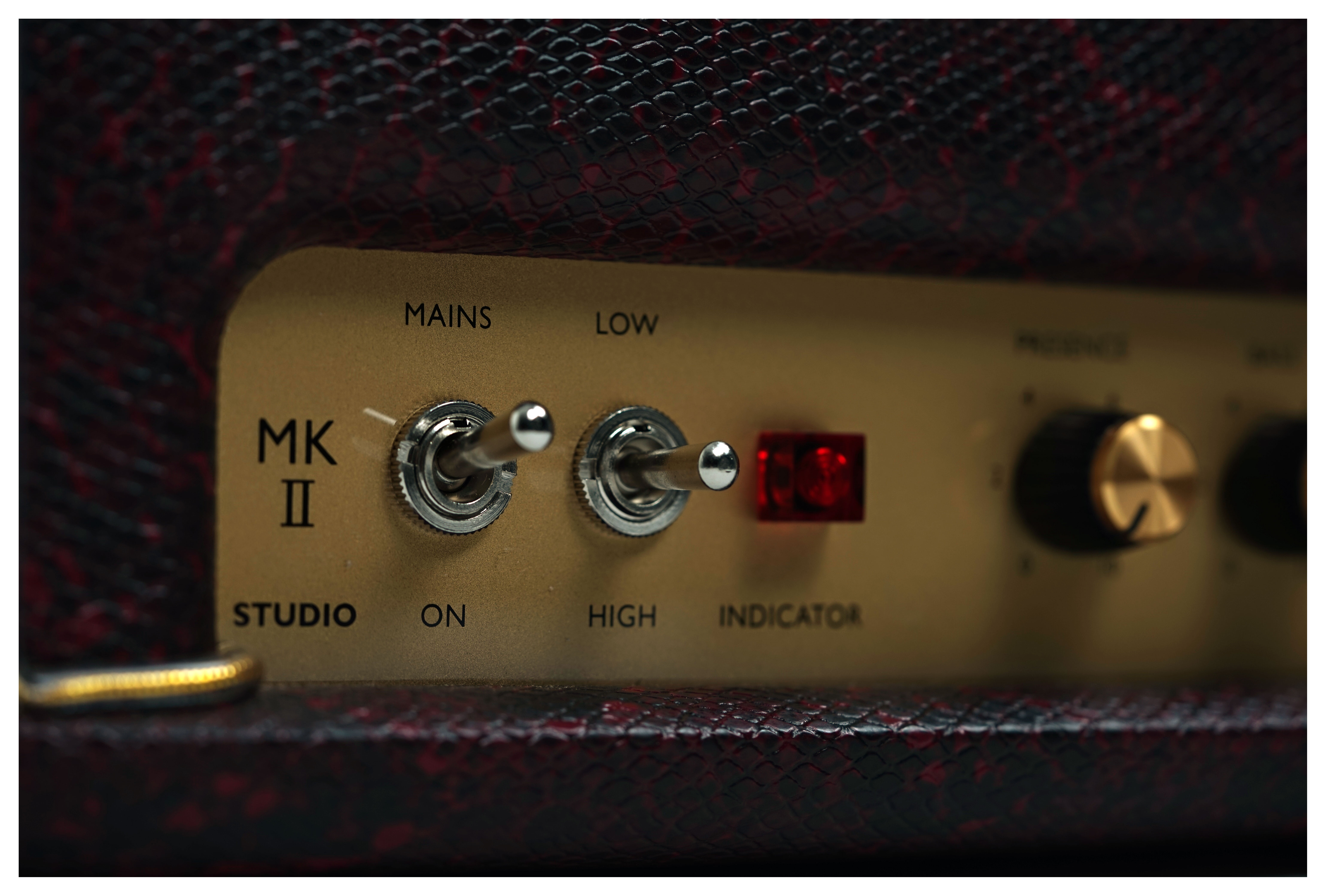 Marshall Design Store SV20H Studio Vintage Valve Amp Head Burgundy Snakeskin