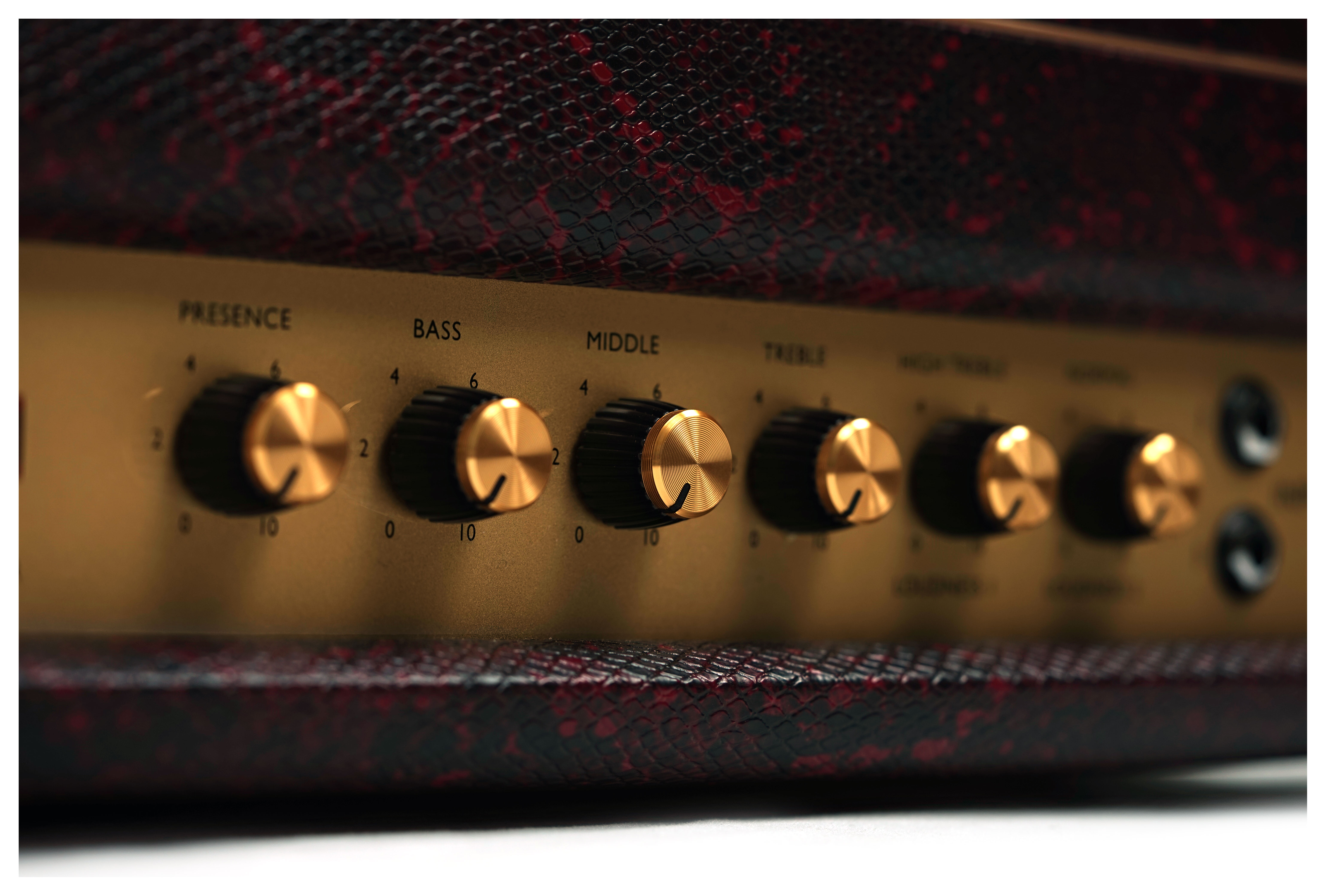 Marshall Design Store SV20H Studio Vintage Valve Amp Head Burgundy Snakeskin