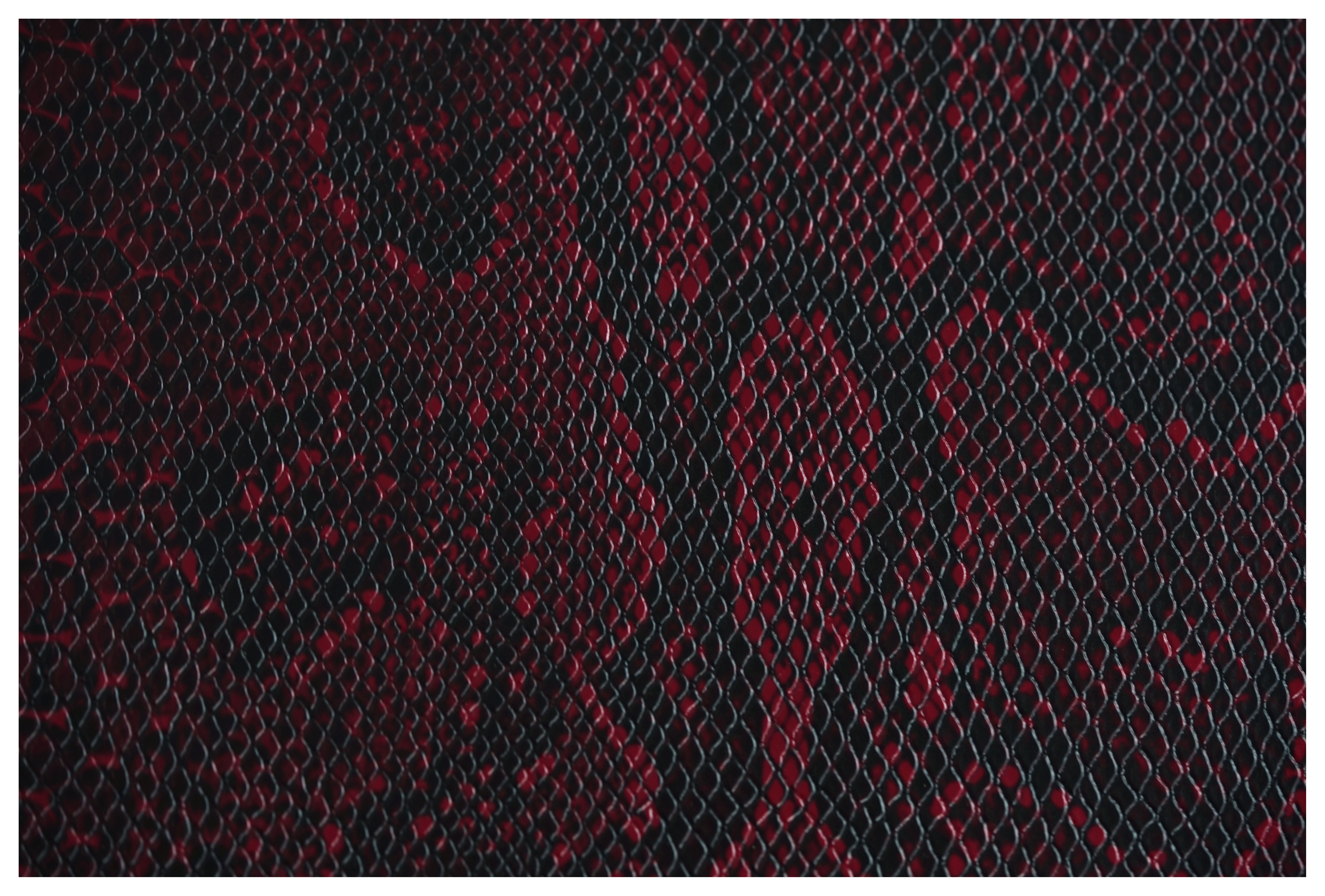 Marshall Design Store SV20H Studio Vintage Valve Amp Head Burgundy Snakeskin