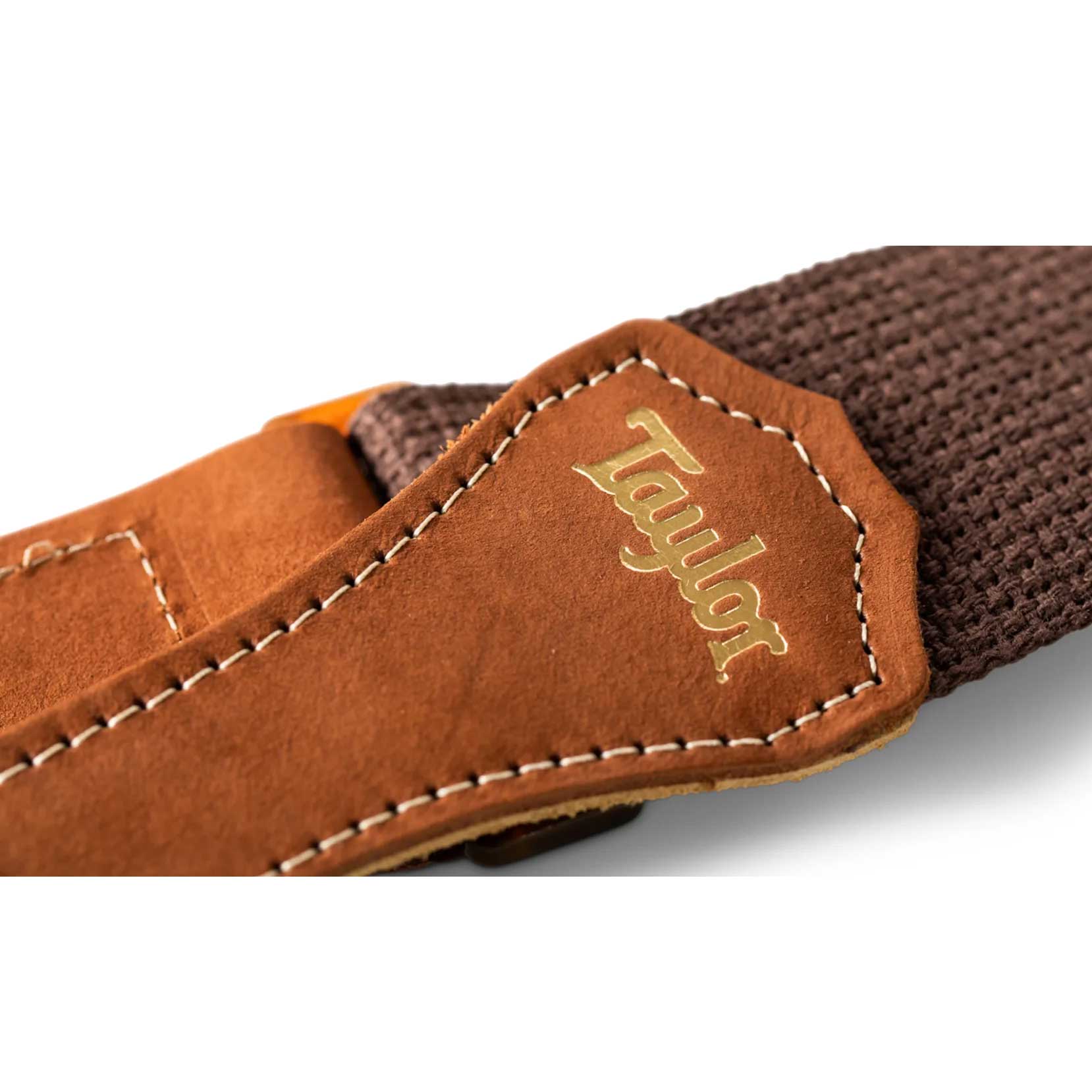 Taylor GS Mini Strap Amber Buckle