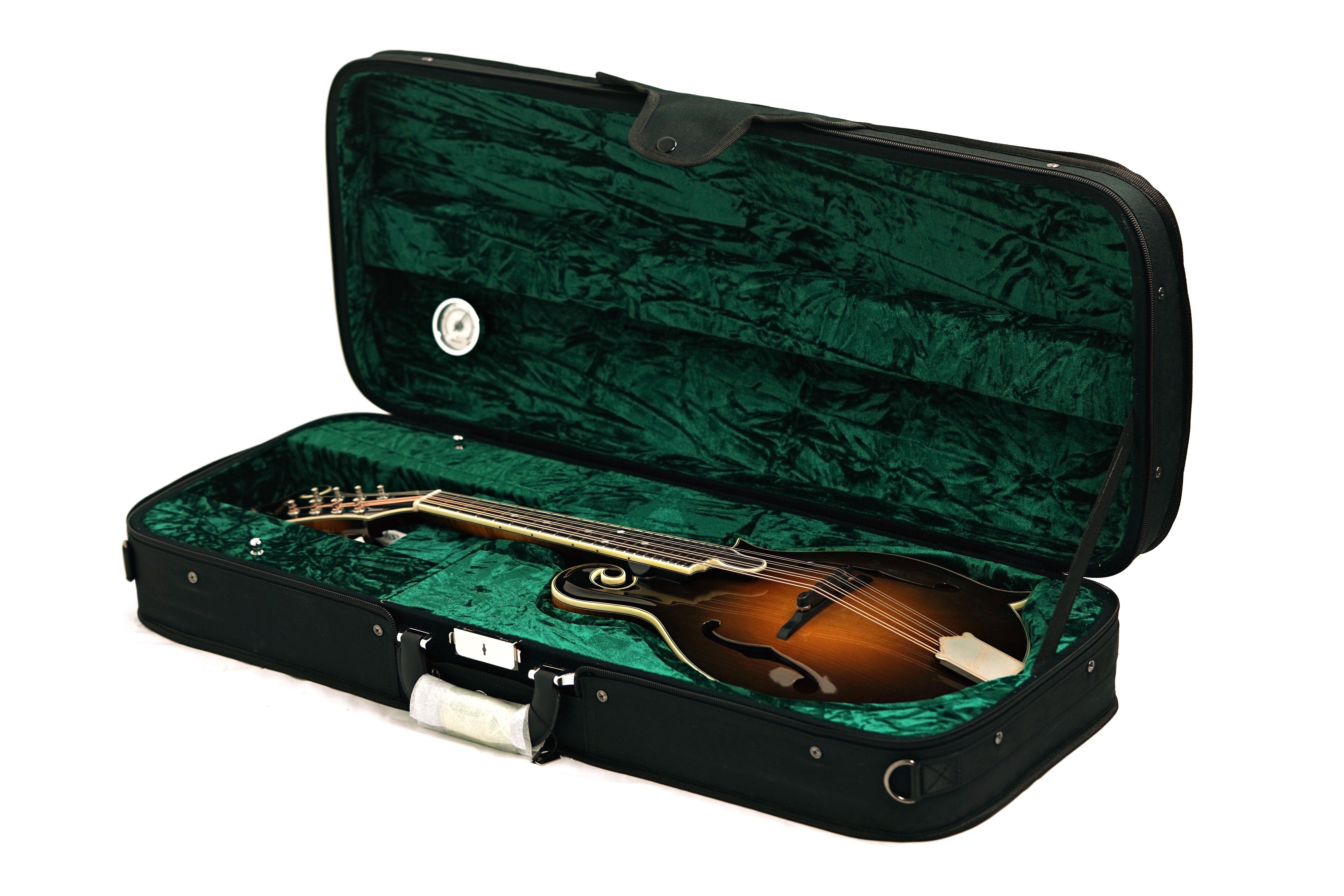 Bourgeois F-style M5-F-SB Sunburst #M2512128