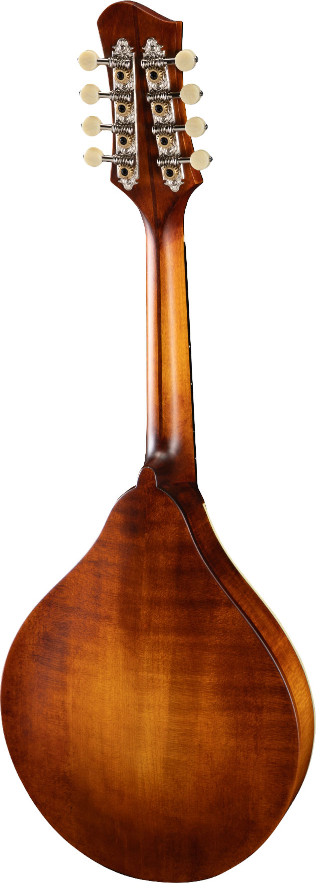 Eastman MD305 Wideneck Adirondack Amberburst