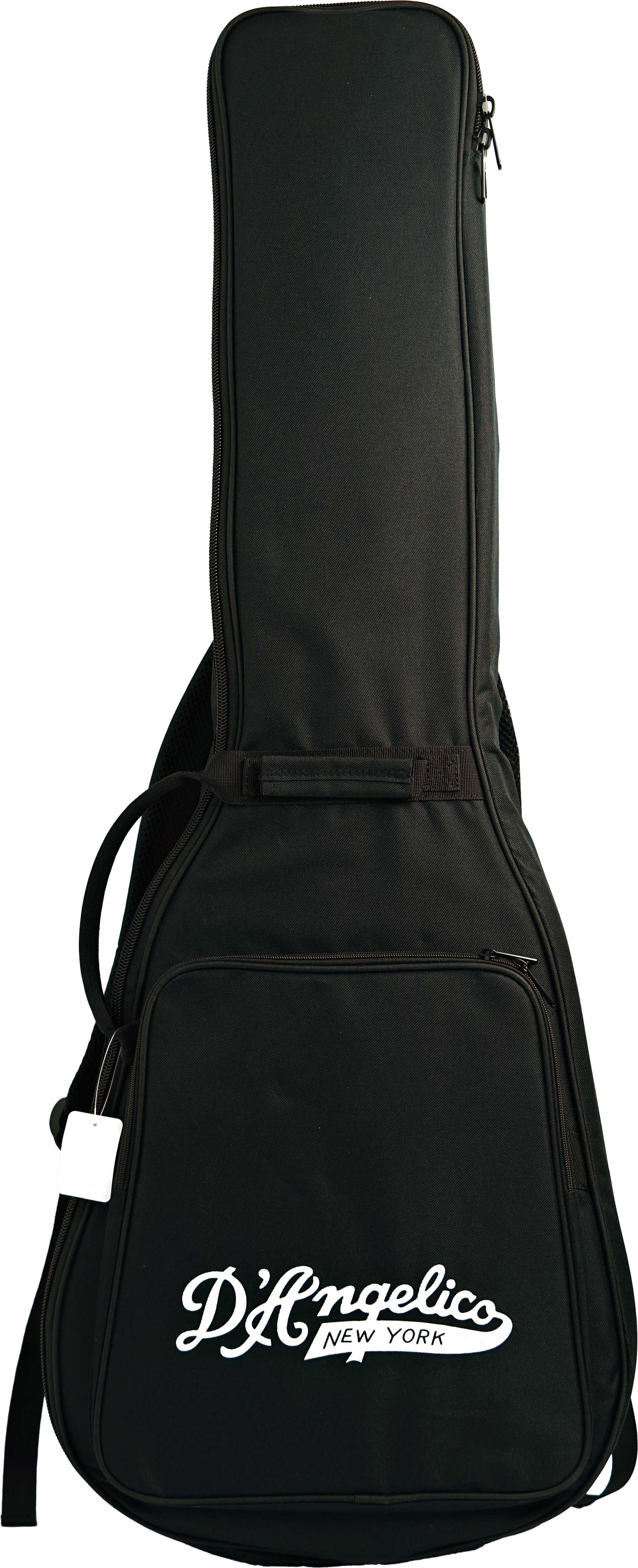 D'Angelico Premier DC Mini XT Honey Burst