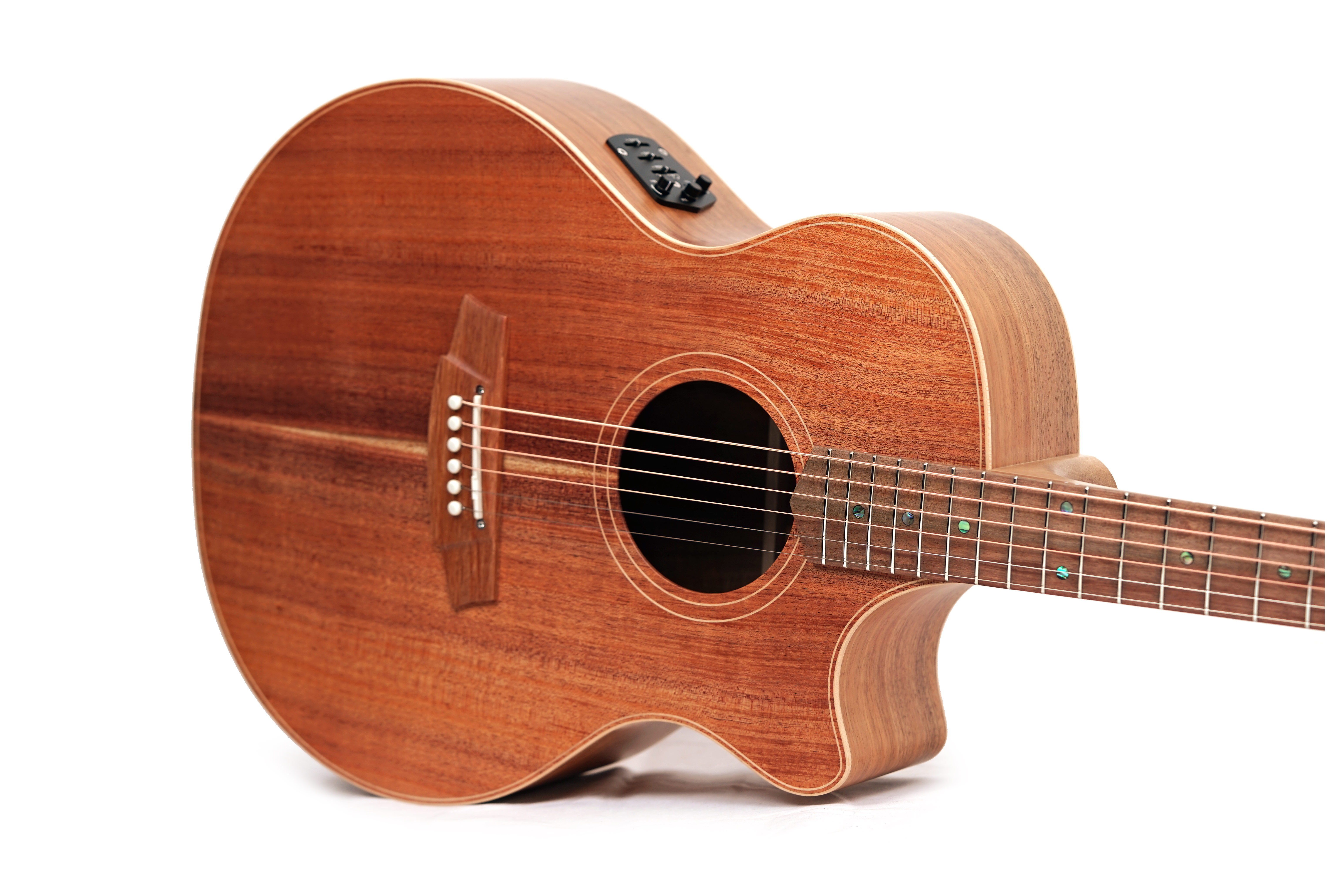 Cole Clark Recording Series AN All Blackwood #2602-11686