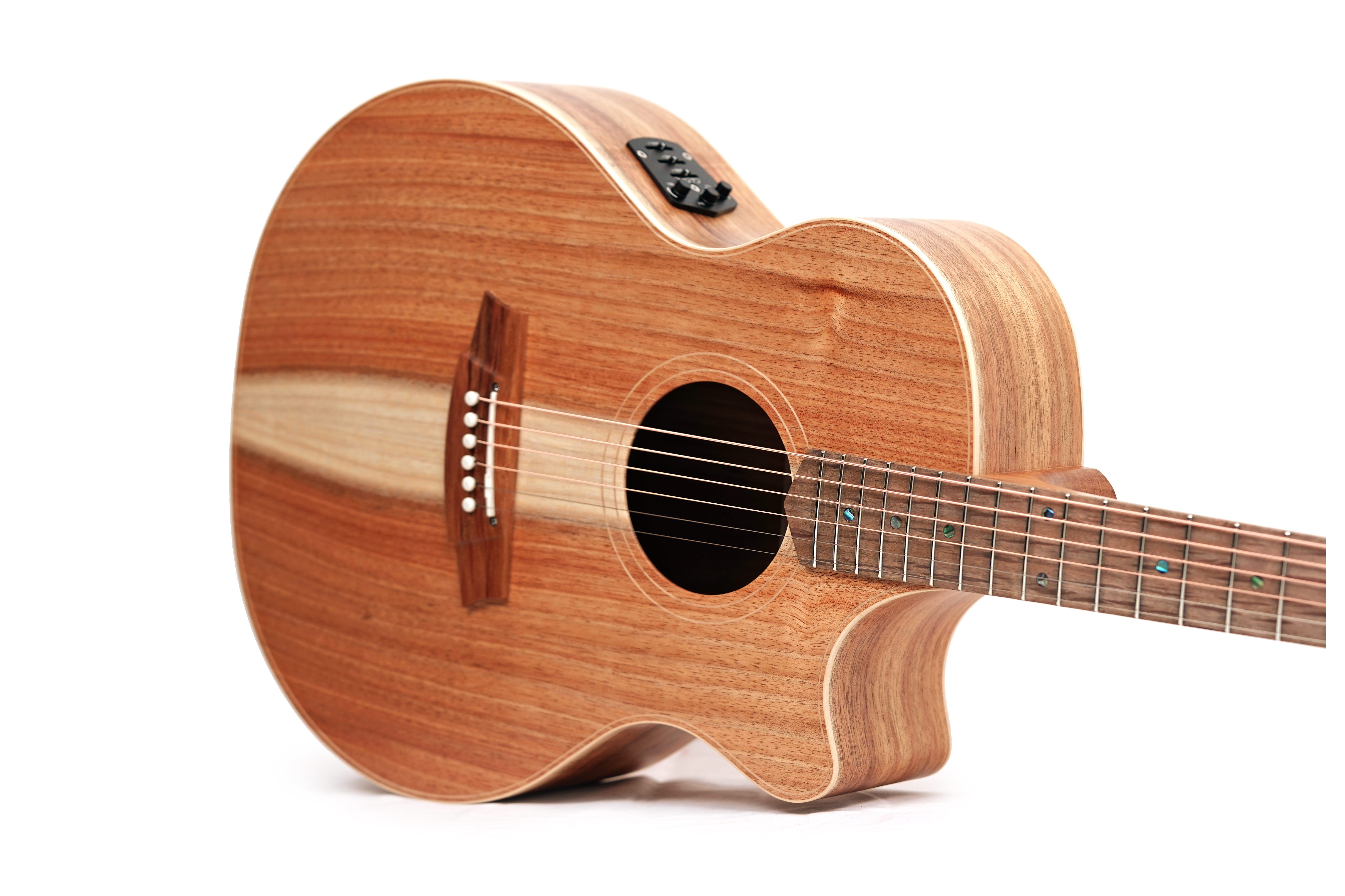 Cole Clark Recording Series AN All Blackwood #2602-11663