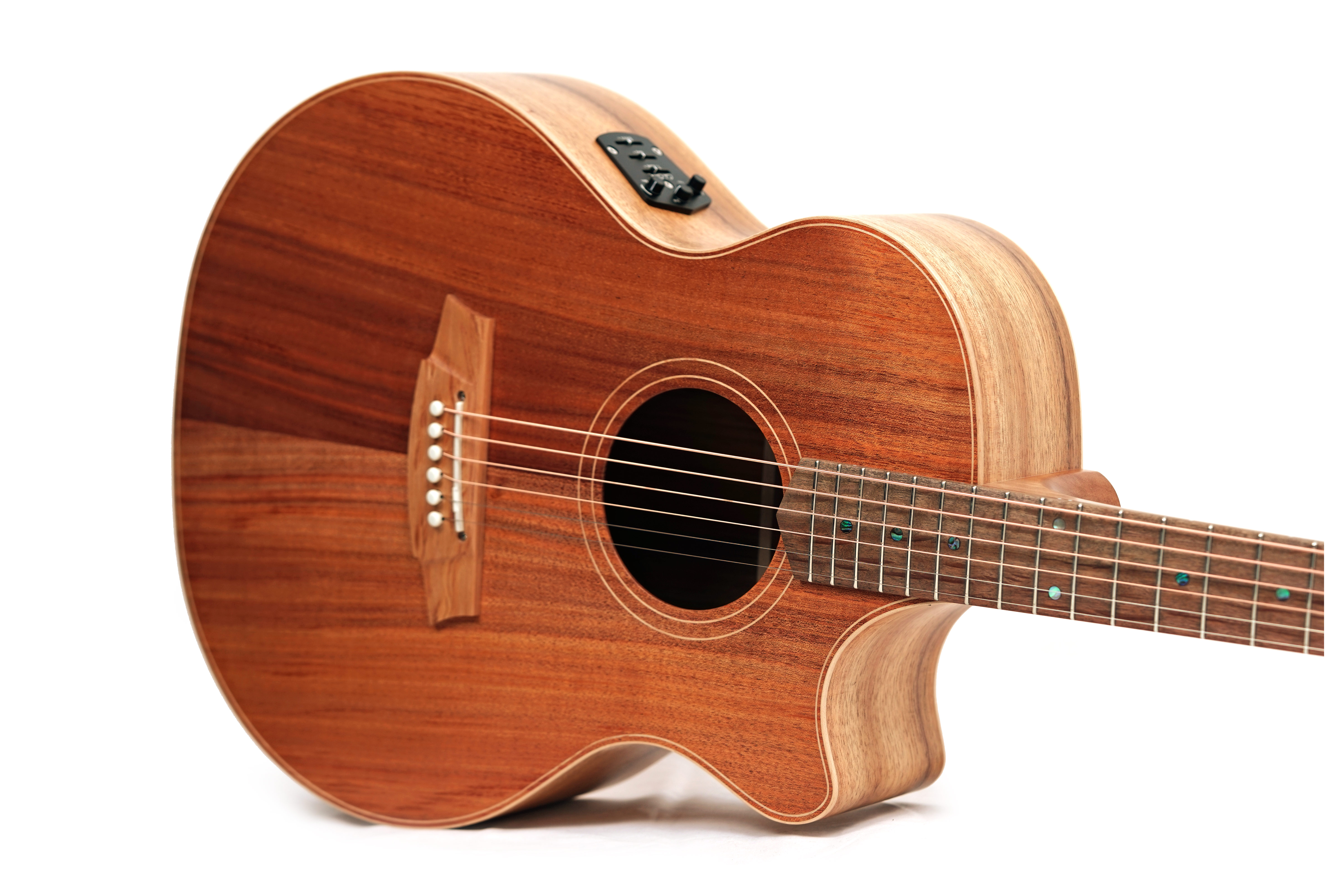 Cole Clark Recording Series AN All Blackwood #2602-11673