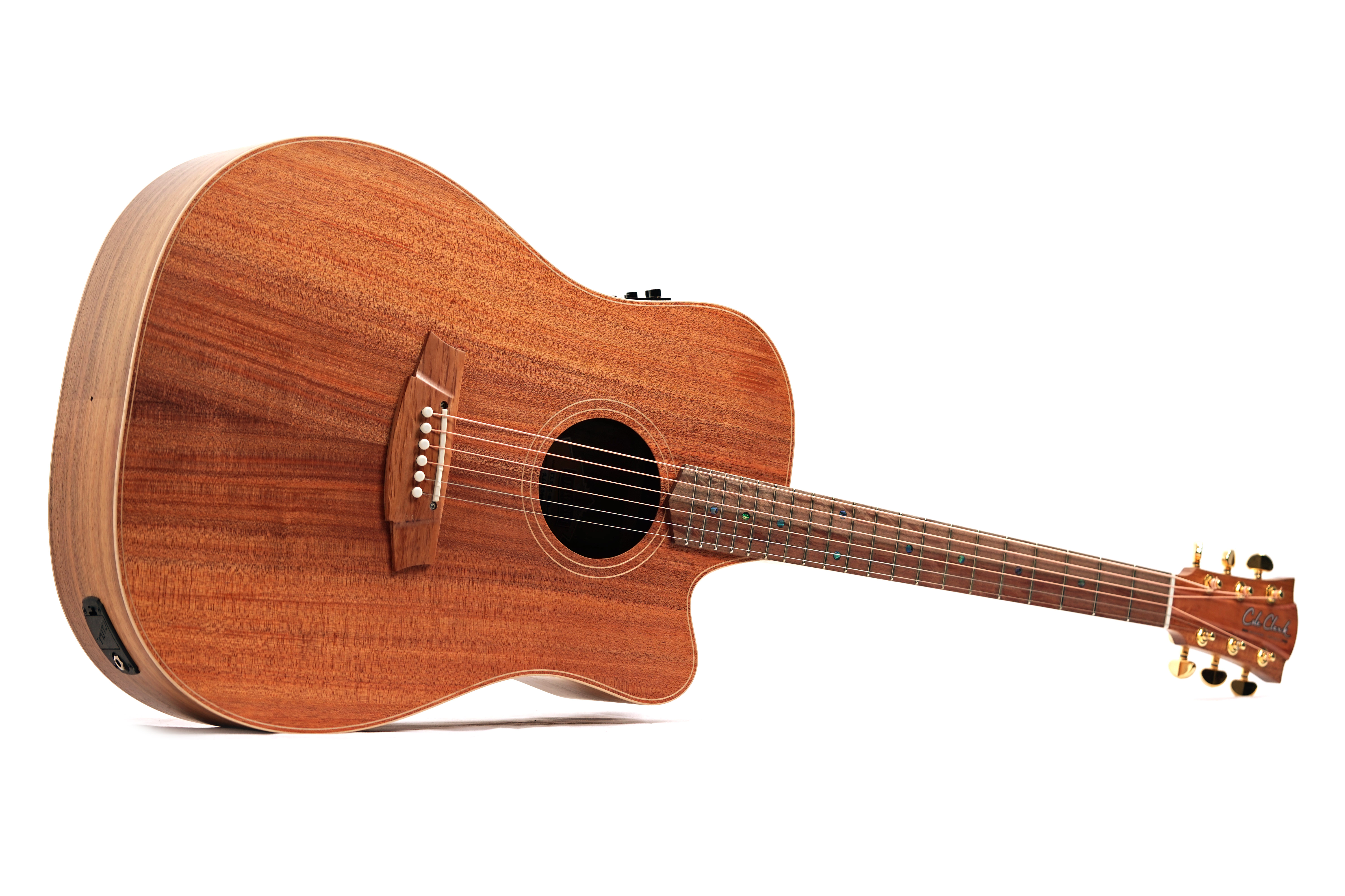 Cole Clark FL2EC All Blackwood #2602-39914