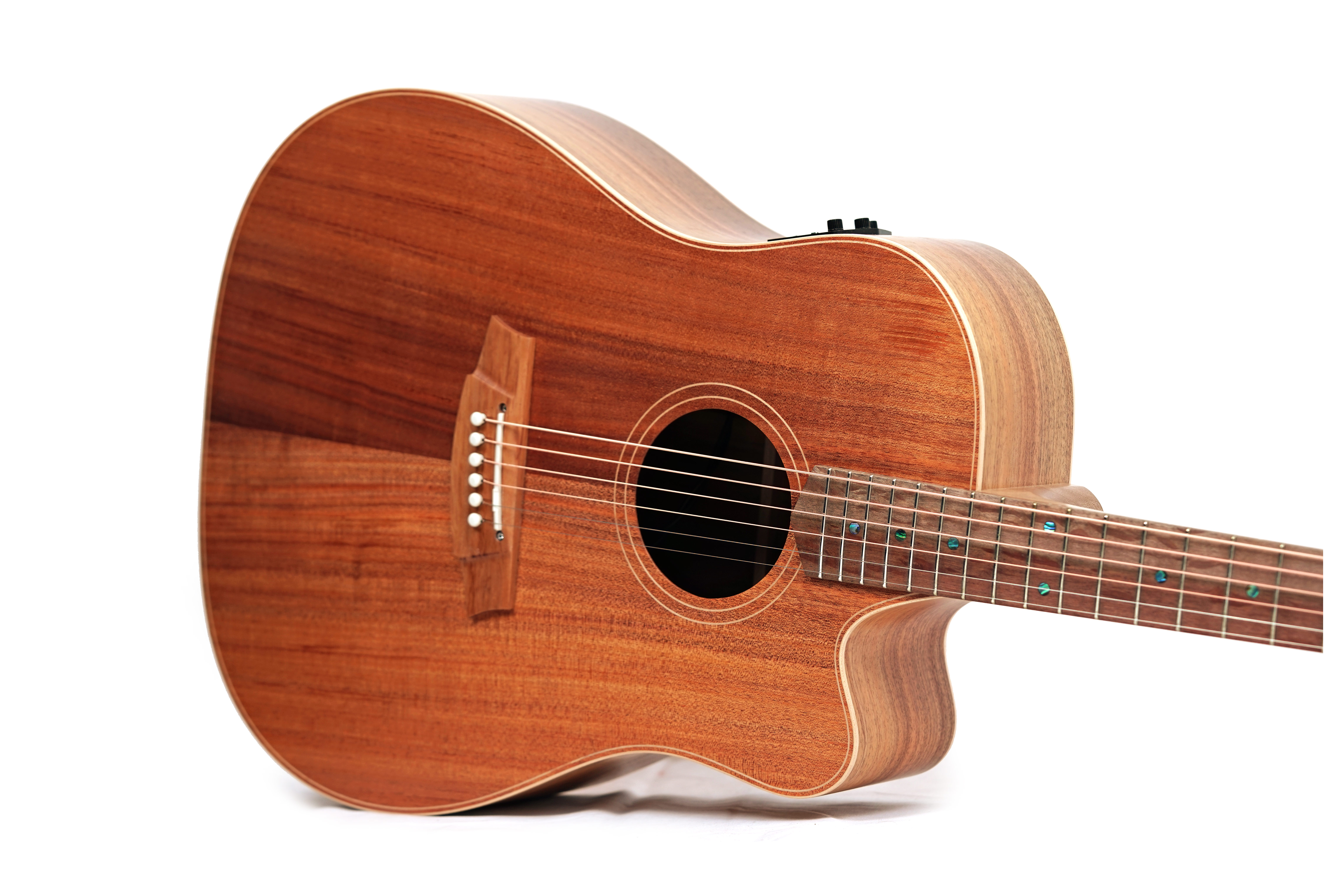 Cole Clark FL2EC All Blackwood #2602-39914