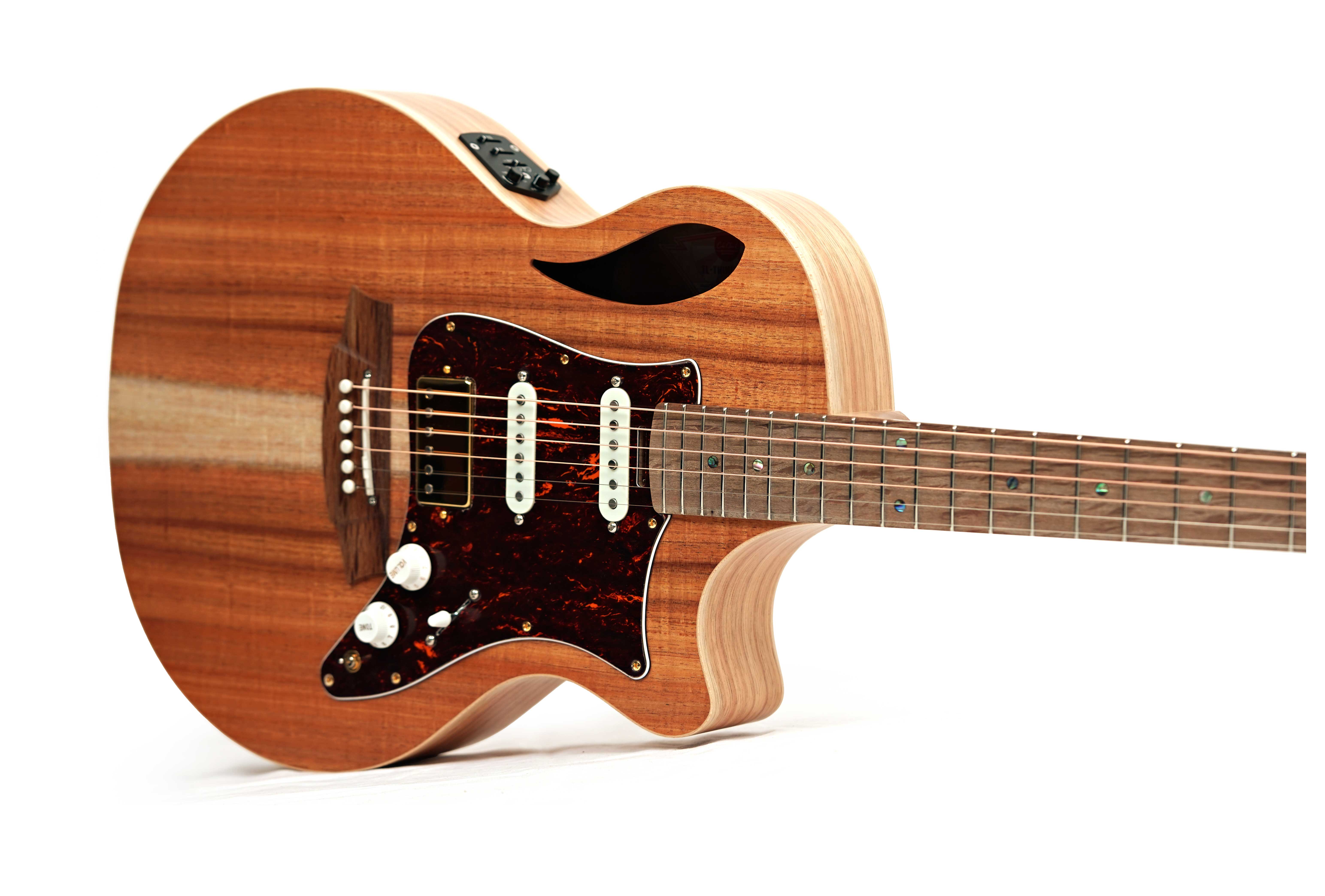 Cole Clark TL2EC All Blackwood HSS #2602-11339