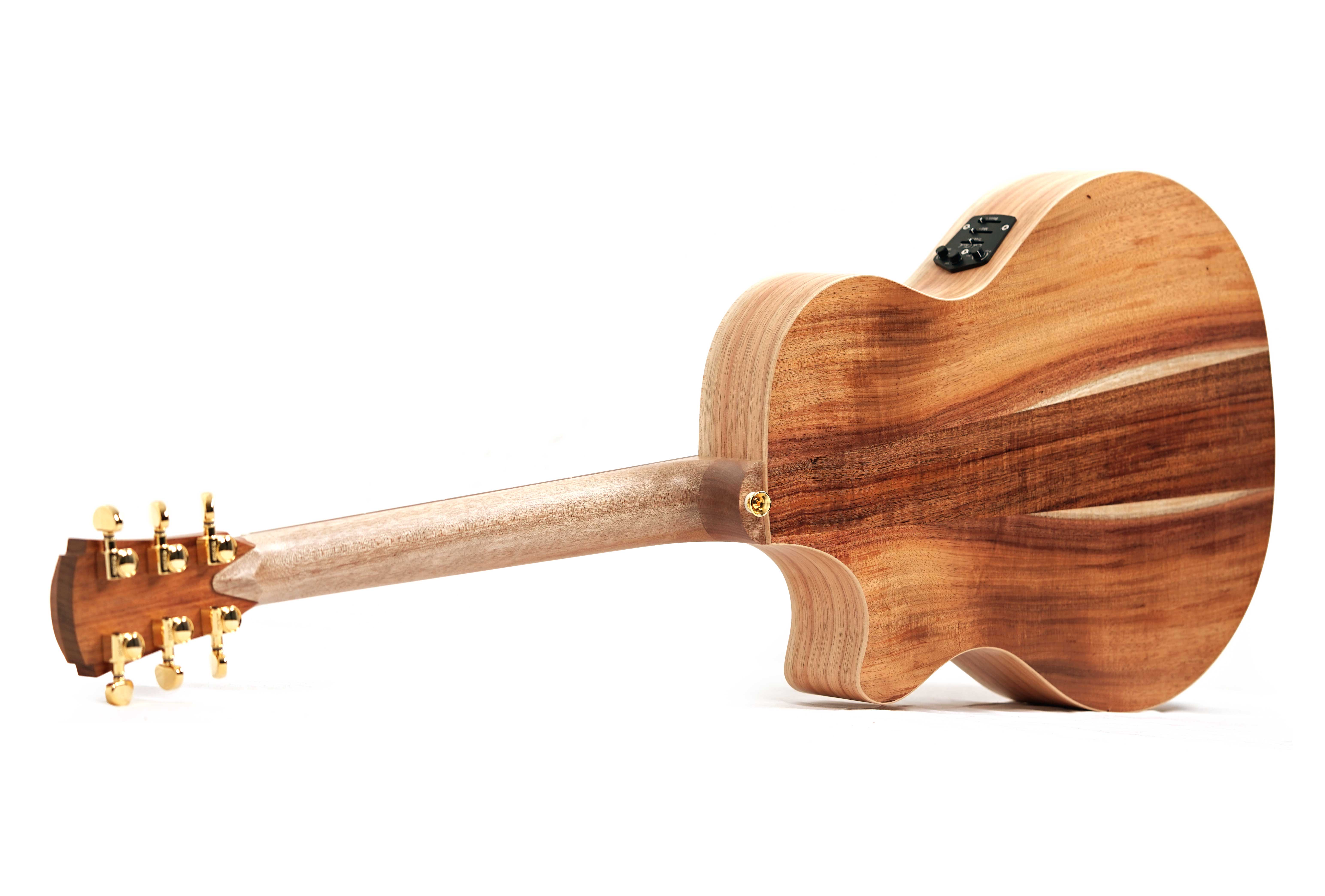 Cole Clark TL2EC All Blackwood HSS #2602-11339