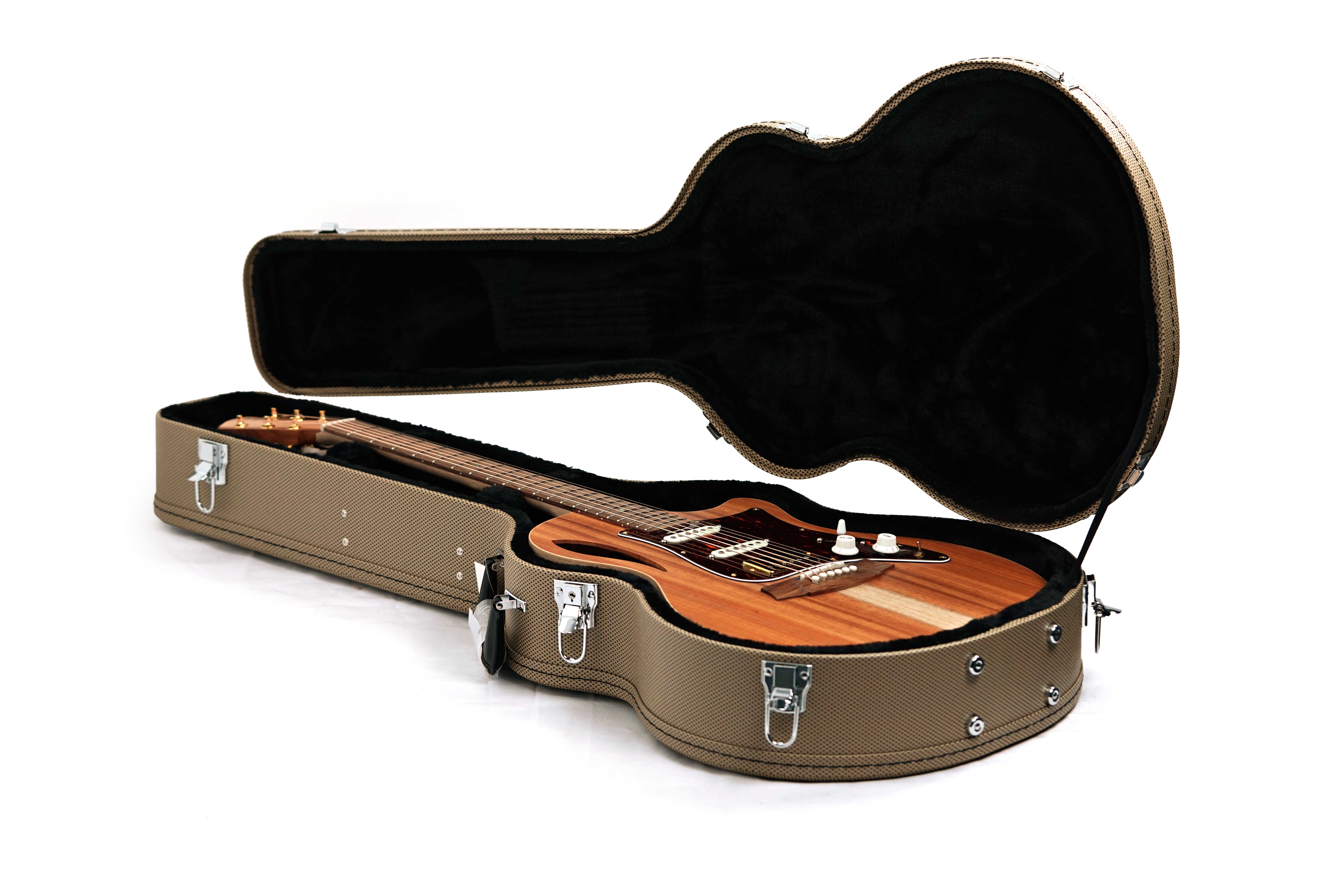 Cole Clark TL2EC All Blackwood HSS #2602-11339