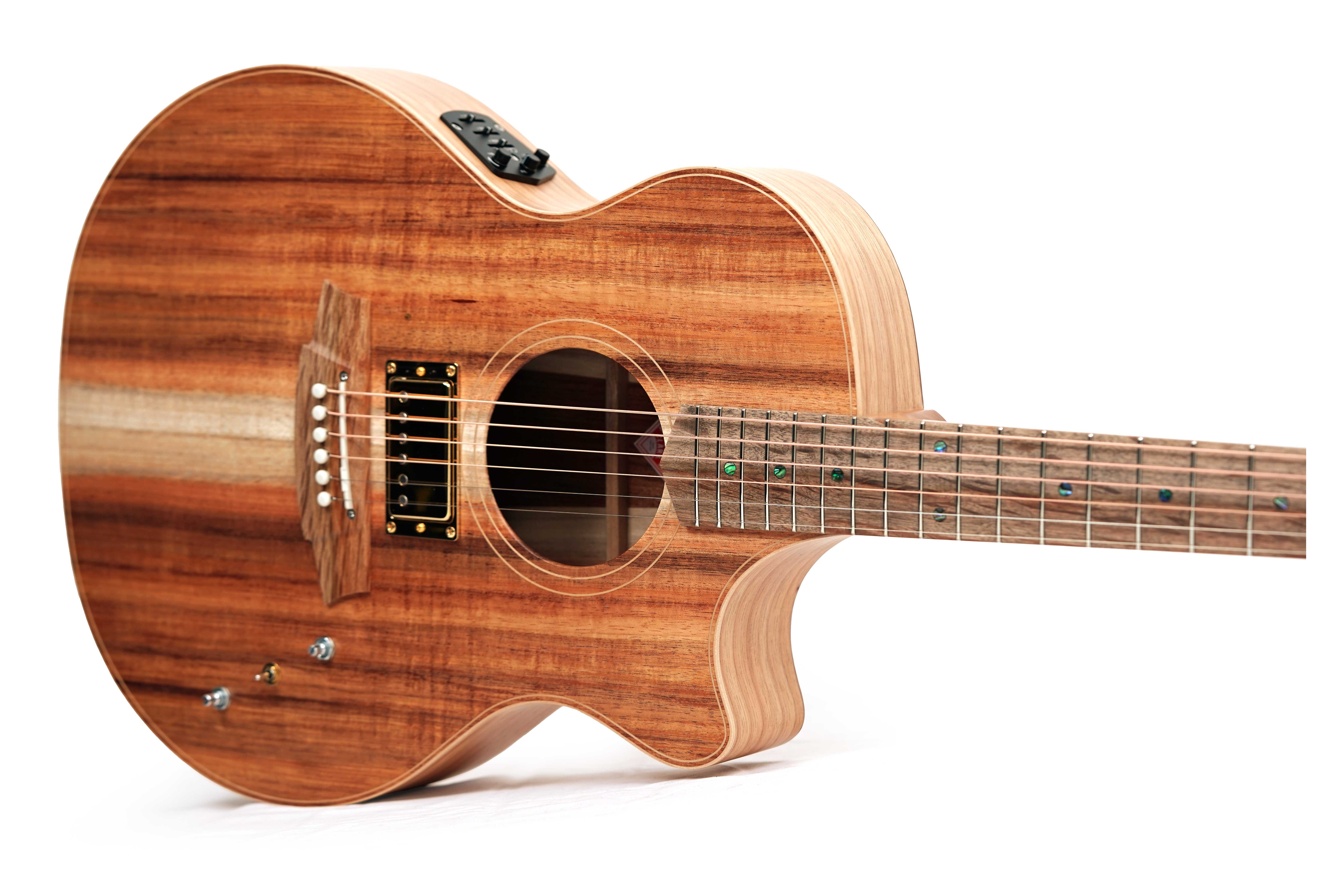 Cole Clark TL2EC Thinline All Blackwood Humbucker #2601-10378