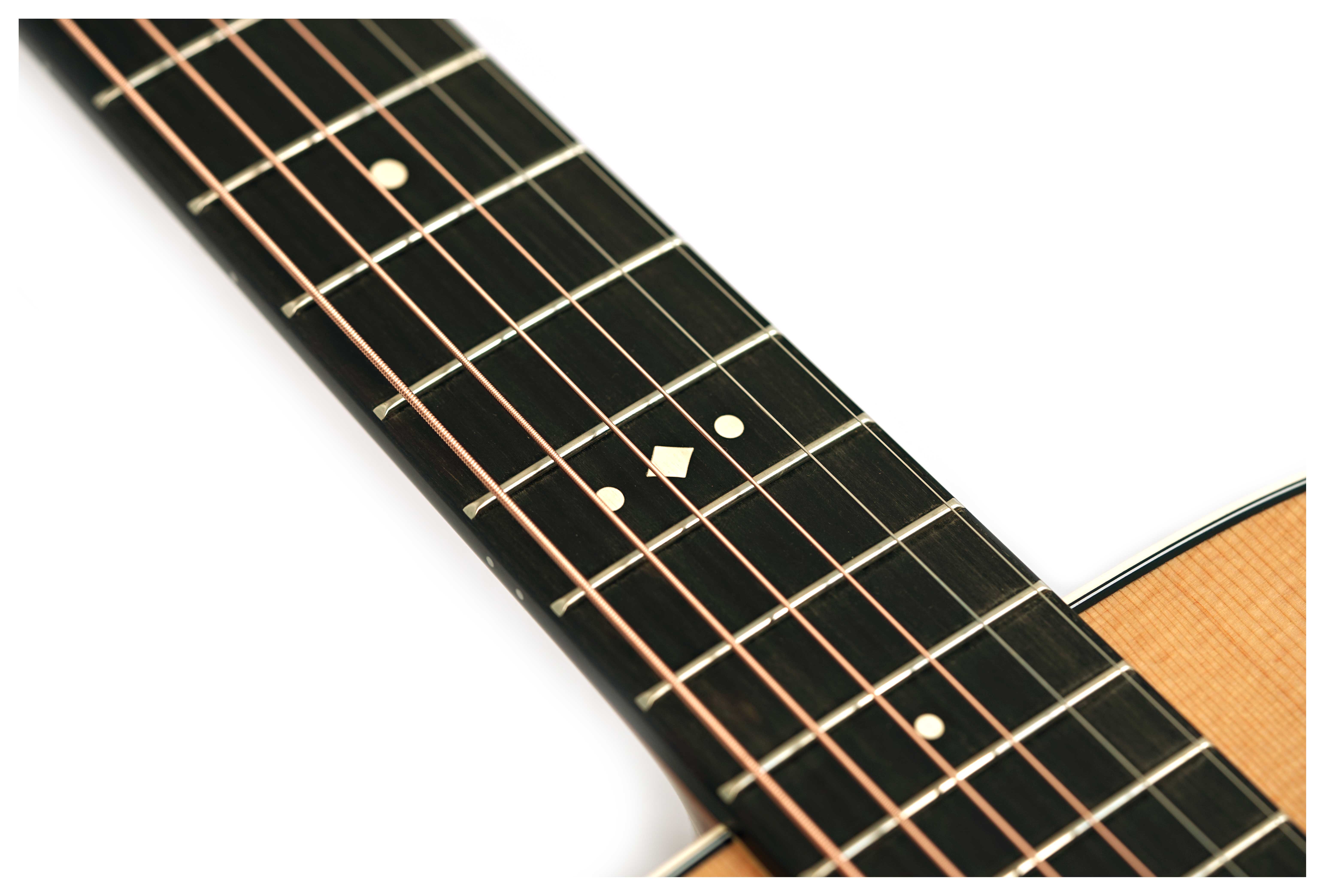 Taylor Gold Label 712e Grand Concert #1201286050