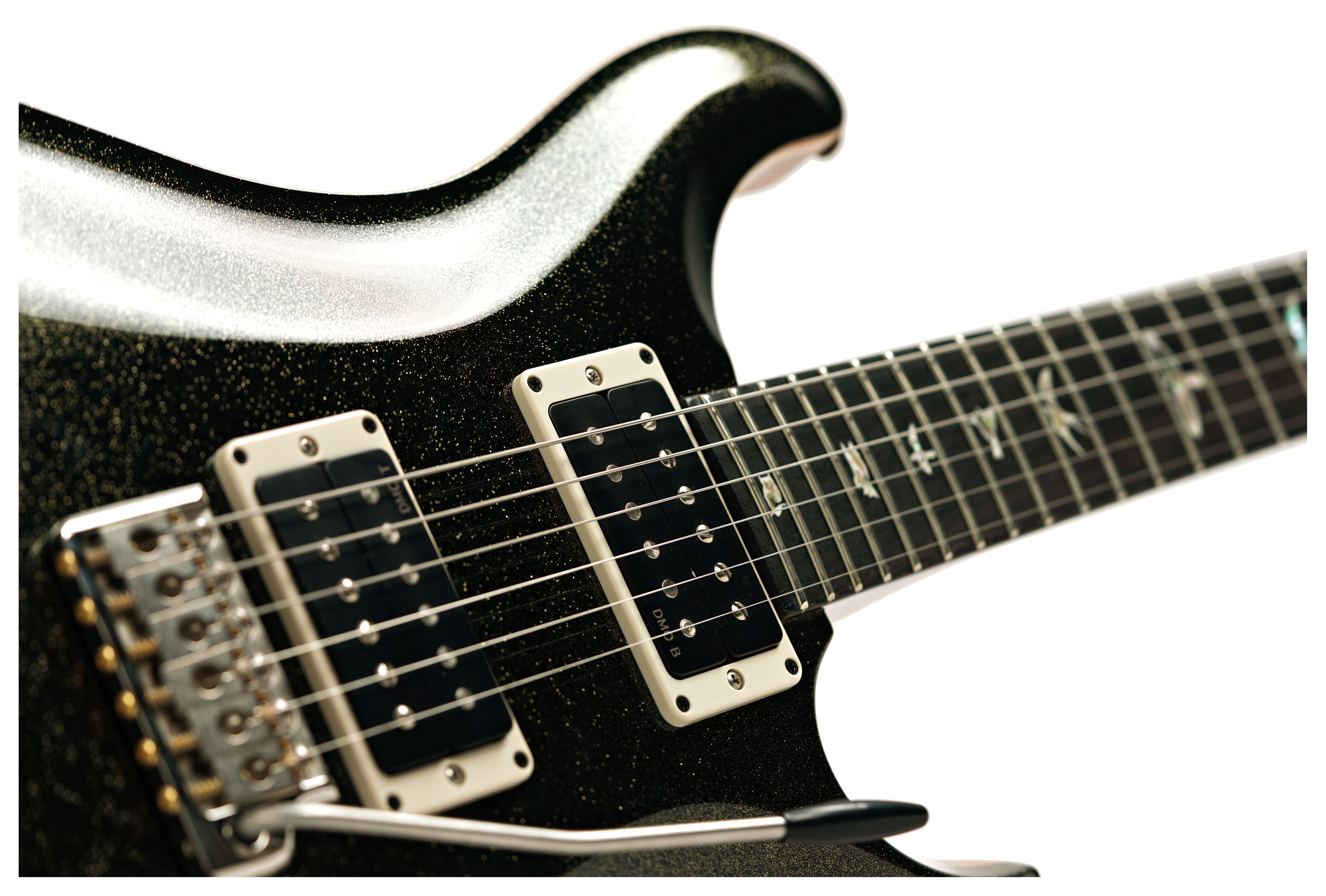 PRS Custom 24 Sprayer's Choice #0417790