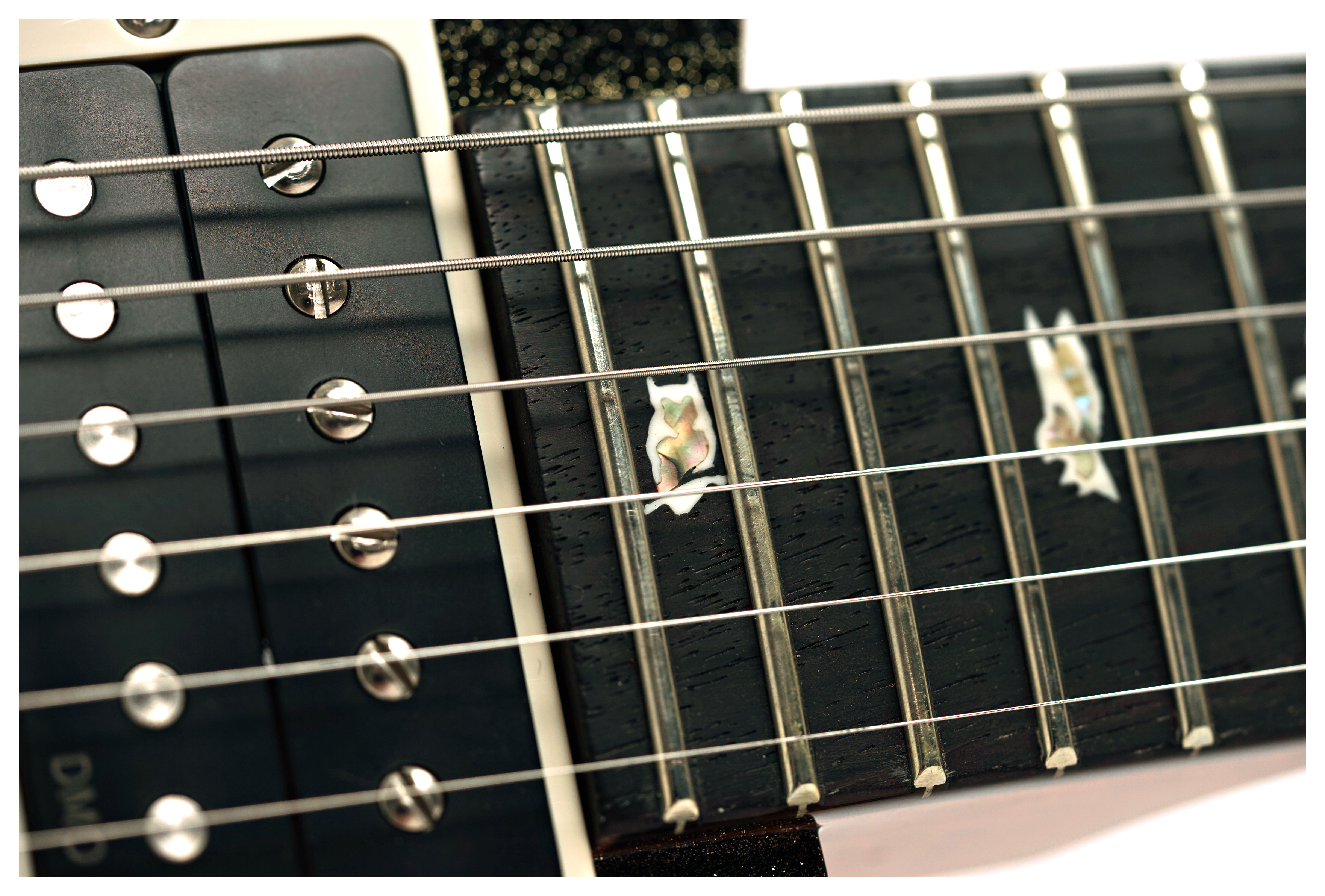 PRS Custom 24 Sprayer's Choice #0417790