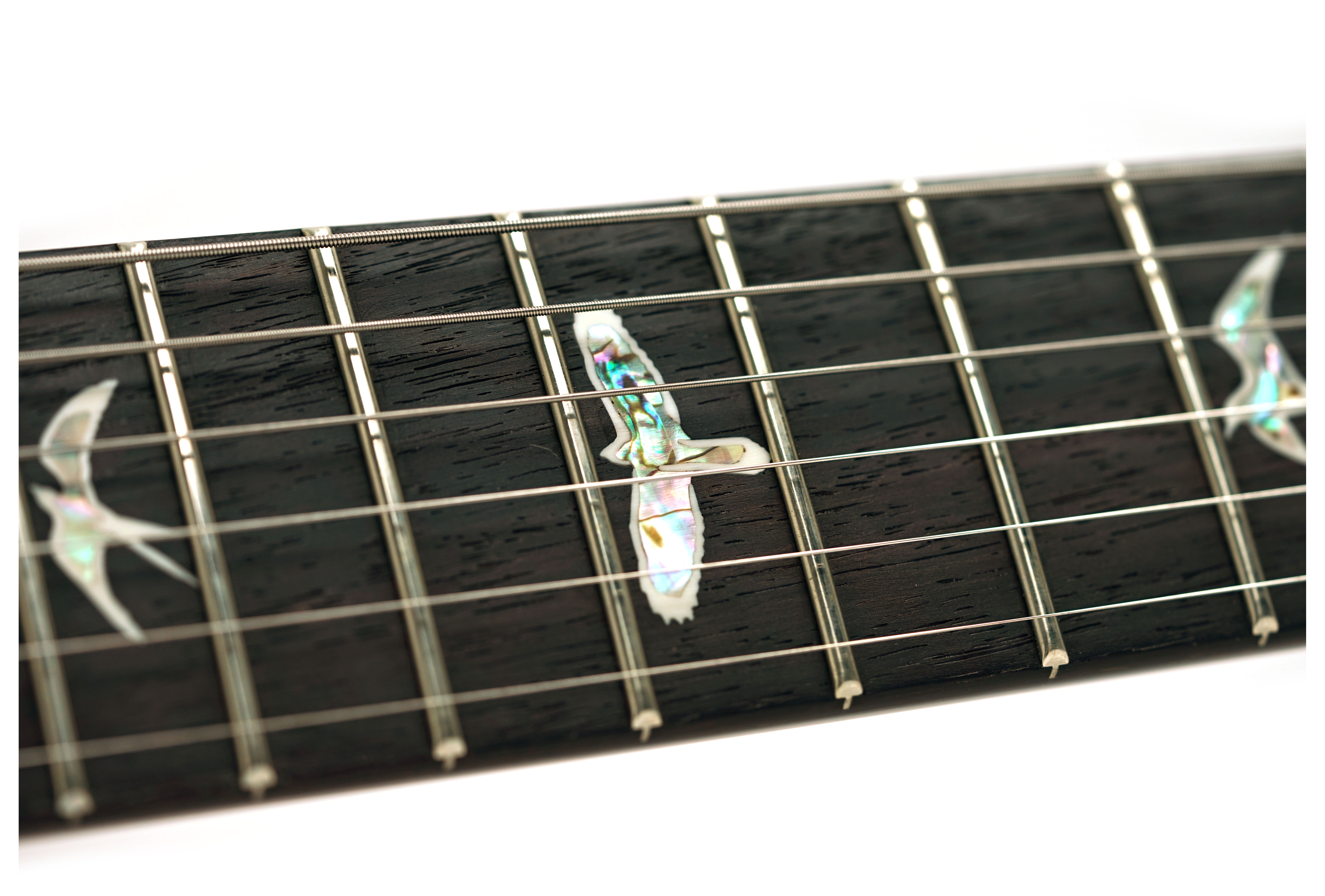 PRS Custom 24 Sprayer's Choice #0417790