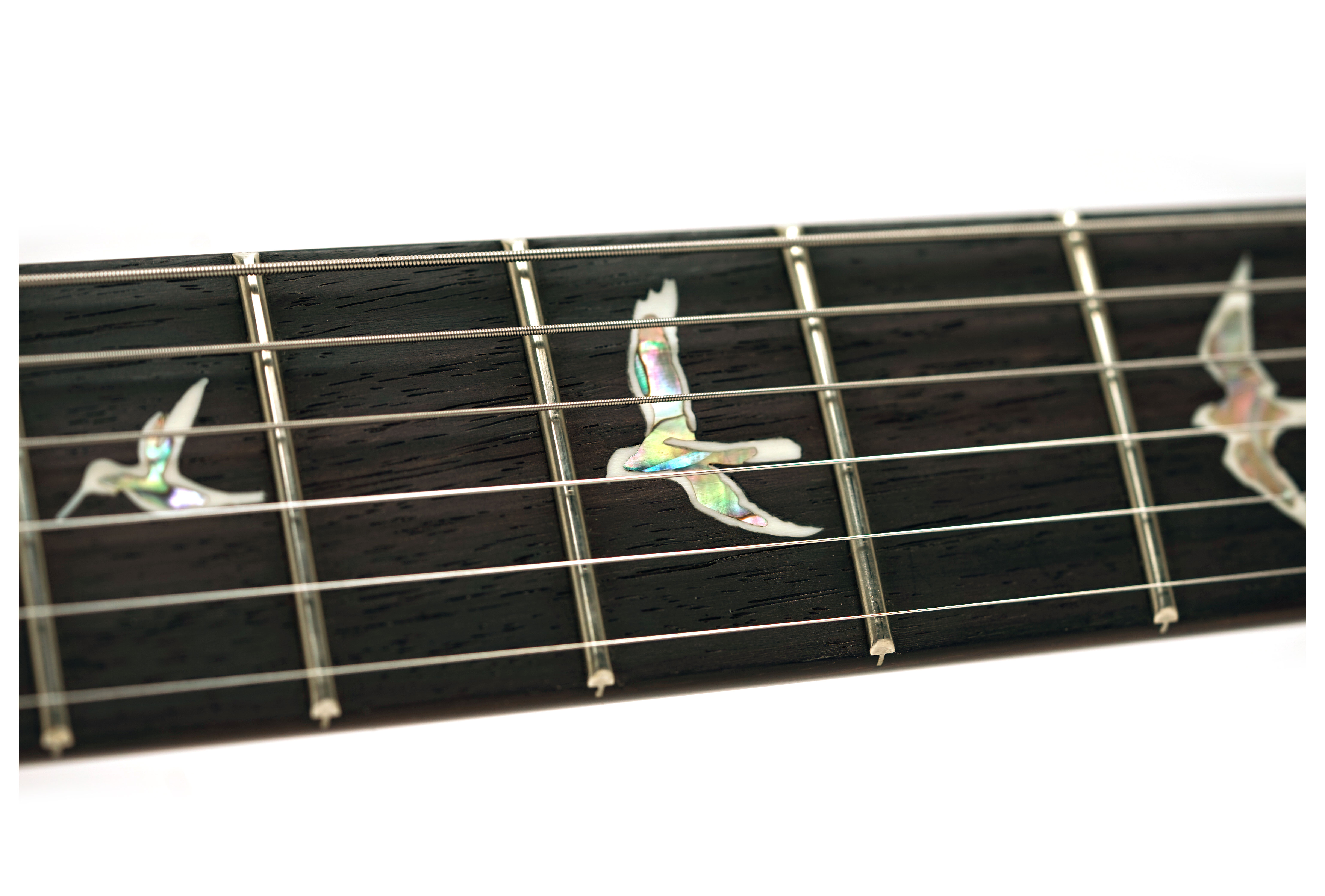 PRS Custom 24 Sprayer's Choice #0417790