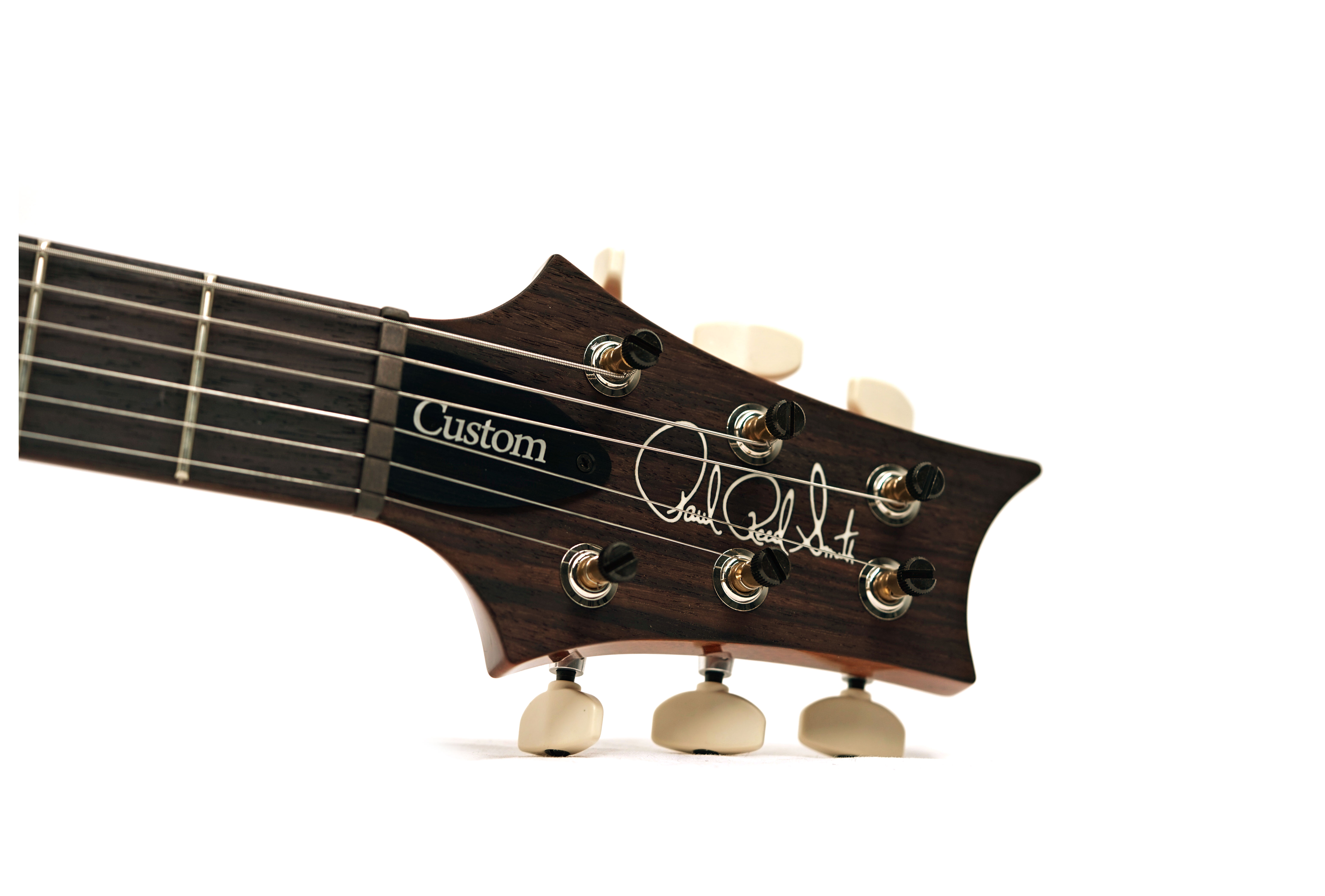 PRS Custom 24 Sprayer's Choice #0417790