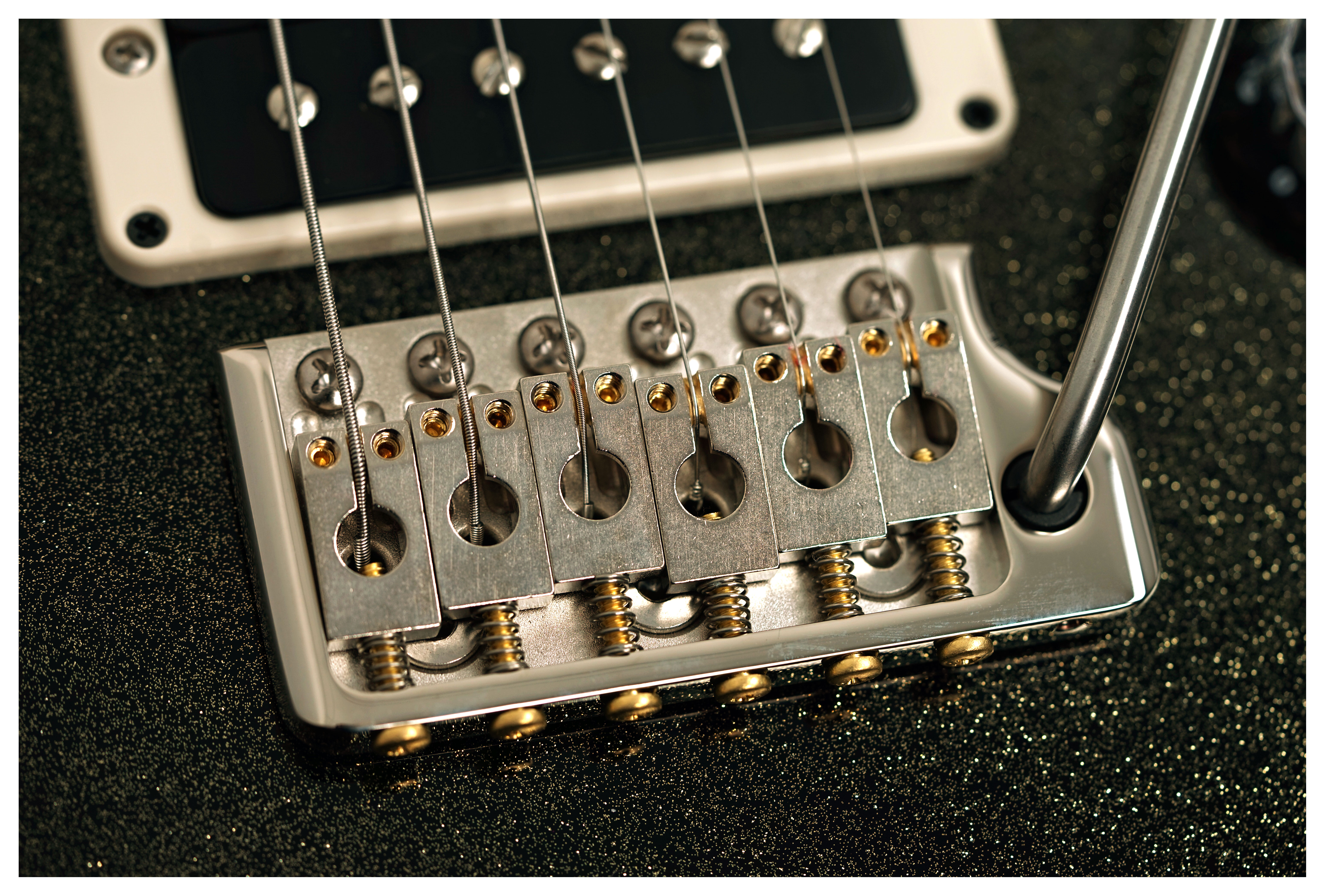 PRS Custom 24 Sprayer's Choice #0417790