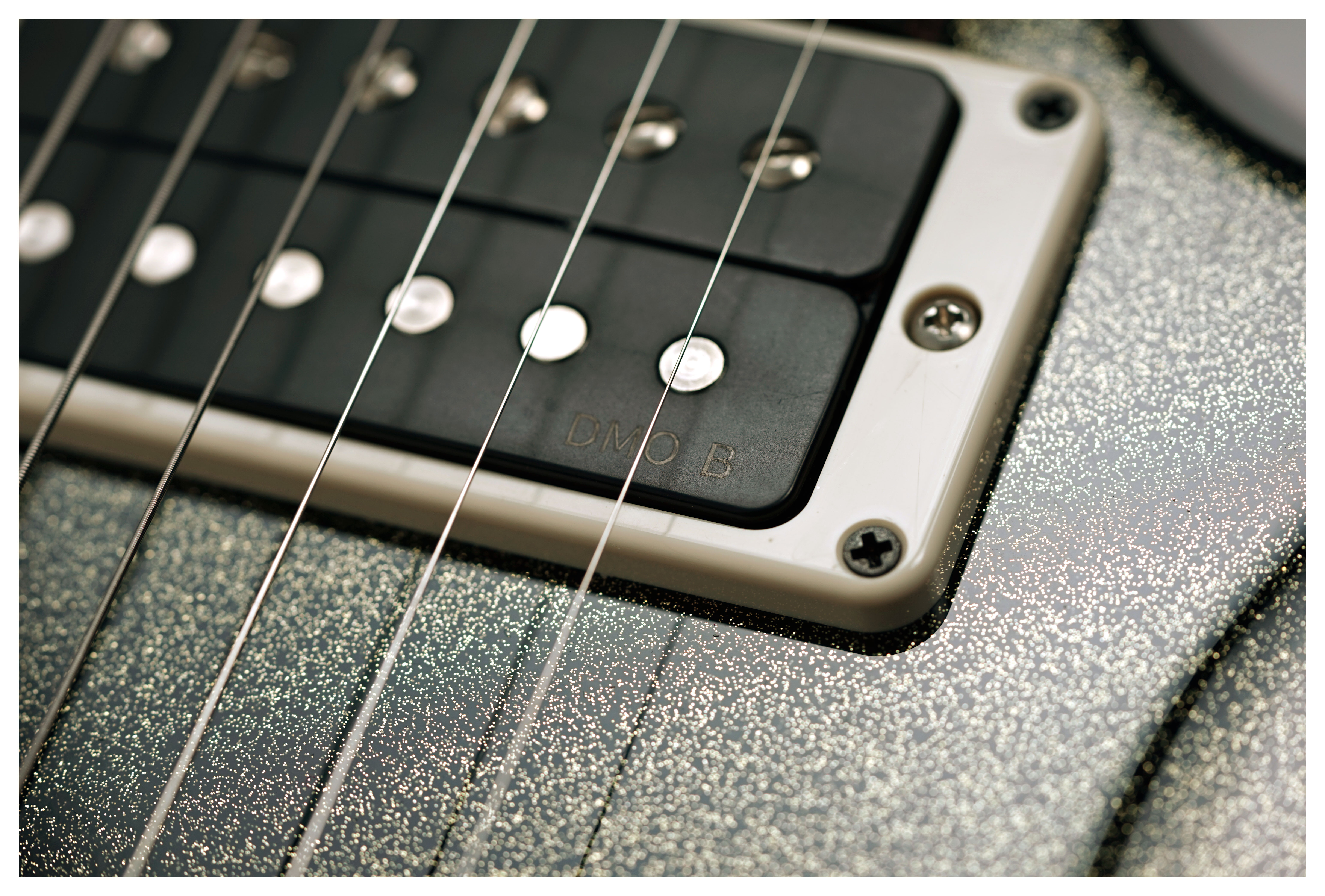 PRS Custom 24 Sprayer's Choice #0417790