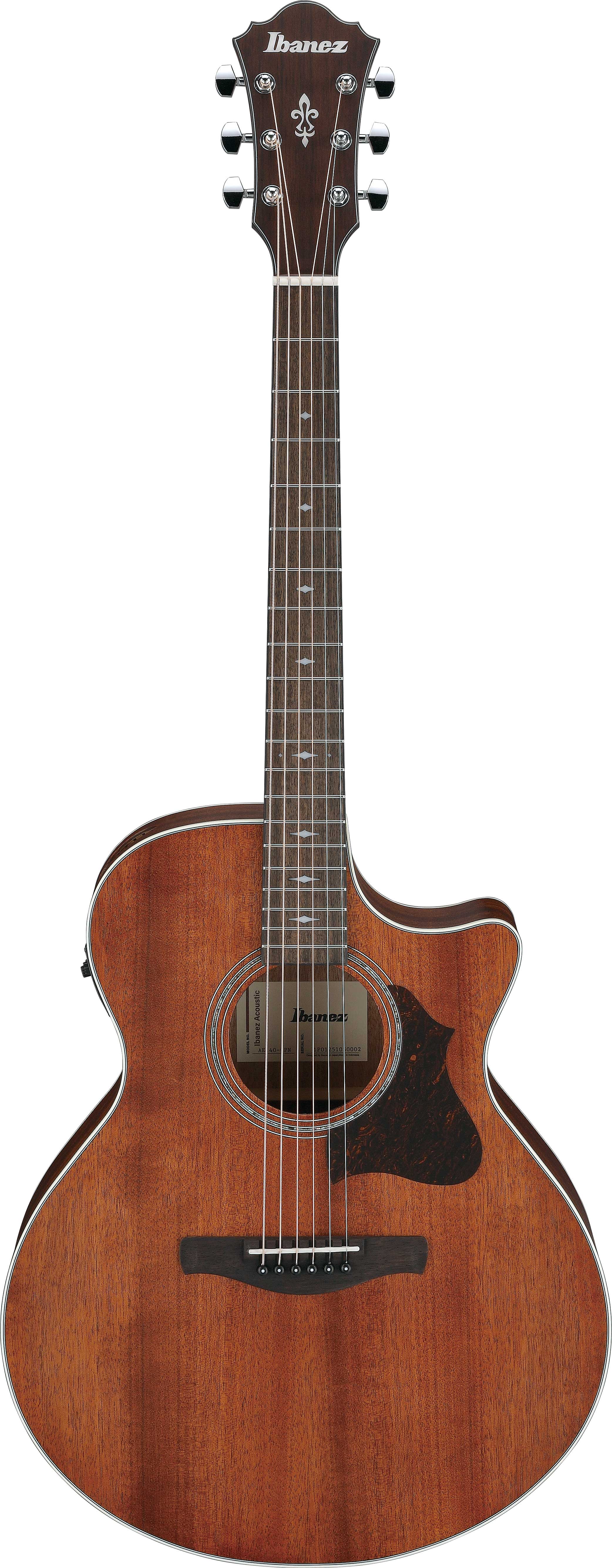 Ibanez AE140 Open Pore Natural