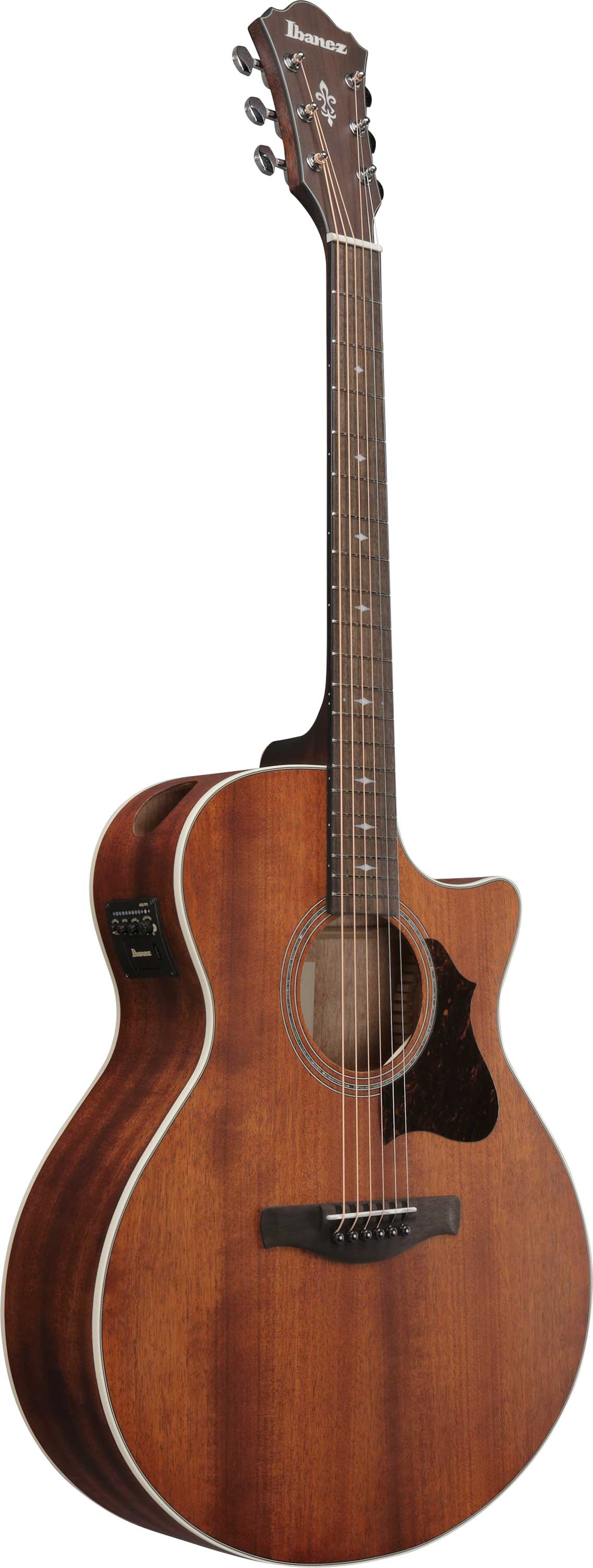 Ibanez AE140 Open Pore Natural