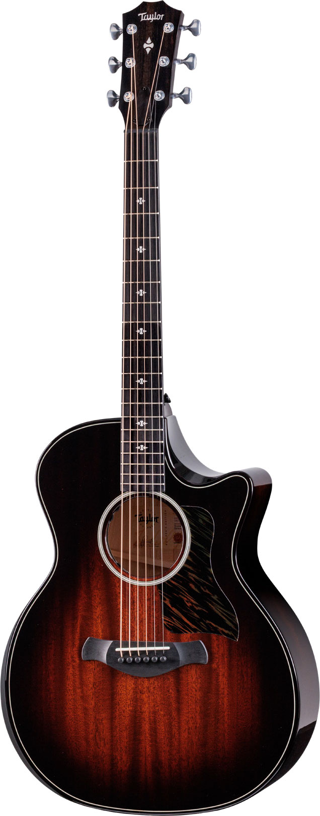 Taylor Builder's Edition 524ce Grand Auditorium Next Generation