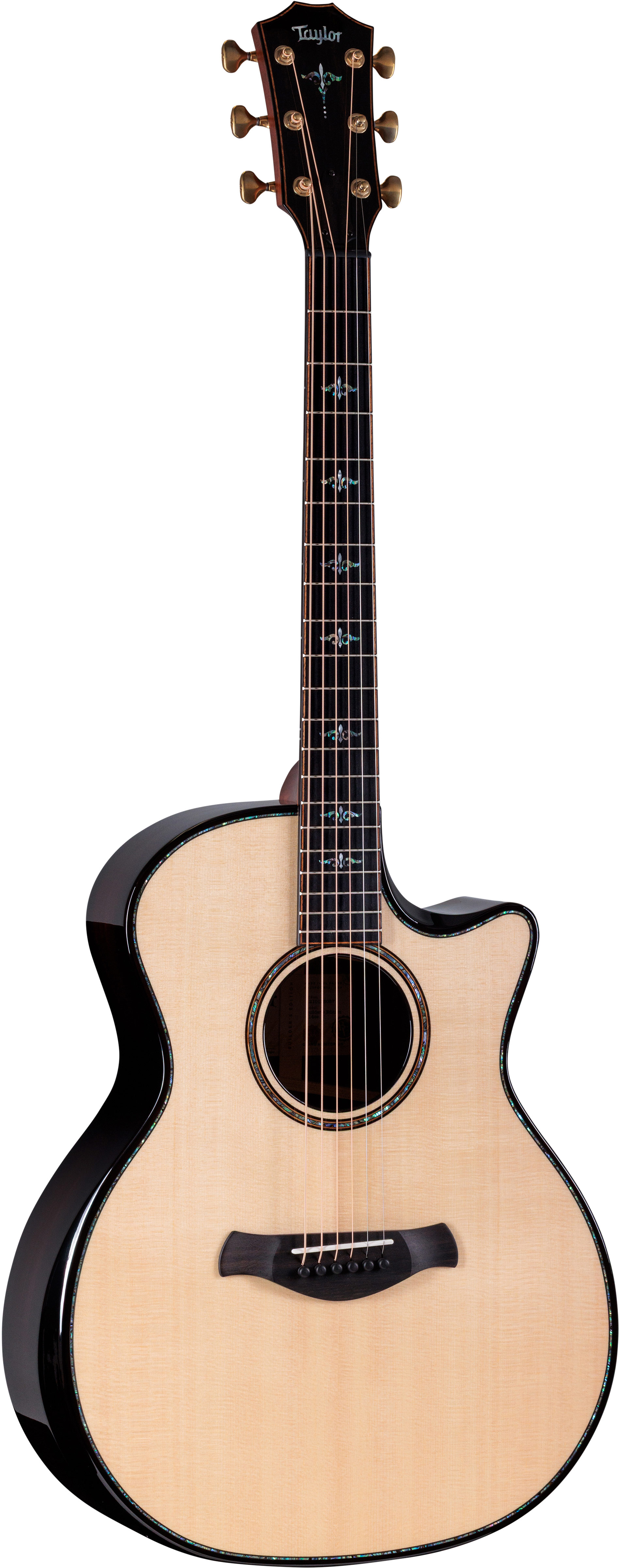 Taylor Builder's Edition 914ce Grand Auditorium Next Generation