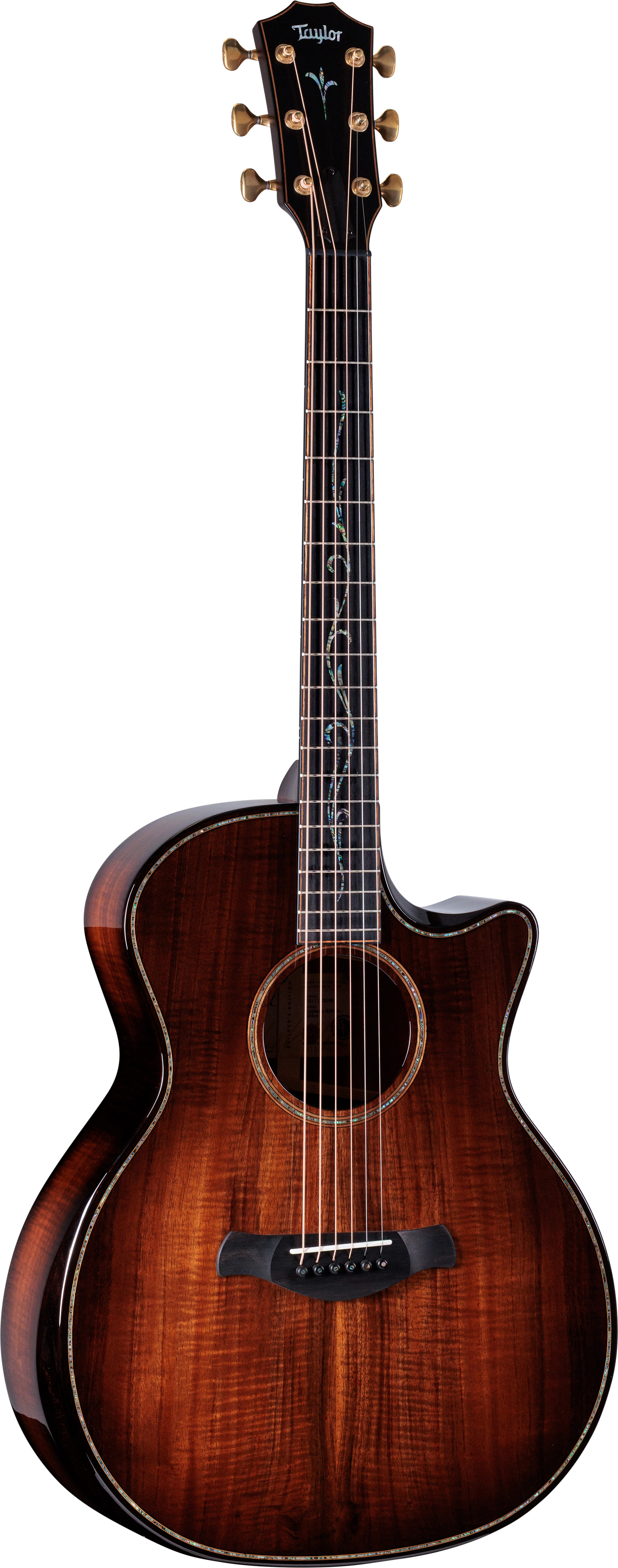 Taylor Builder's Edition K24ce Grand Auditorium Next Generation
