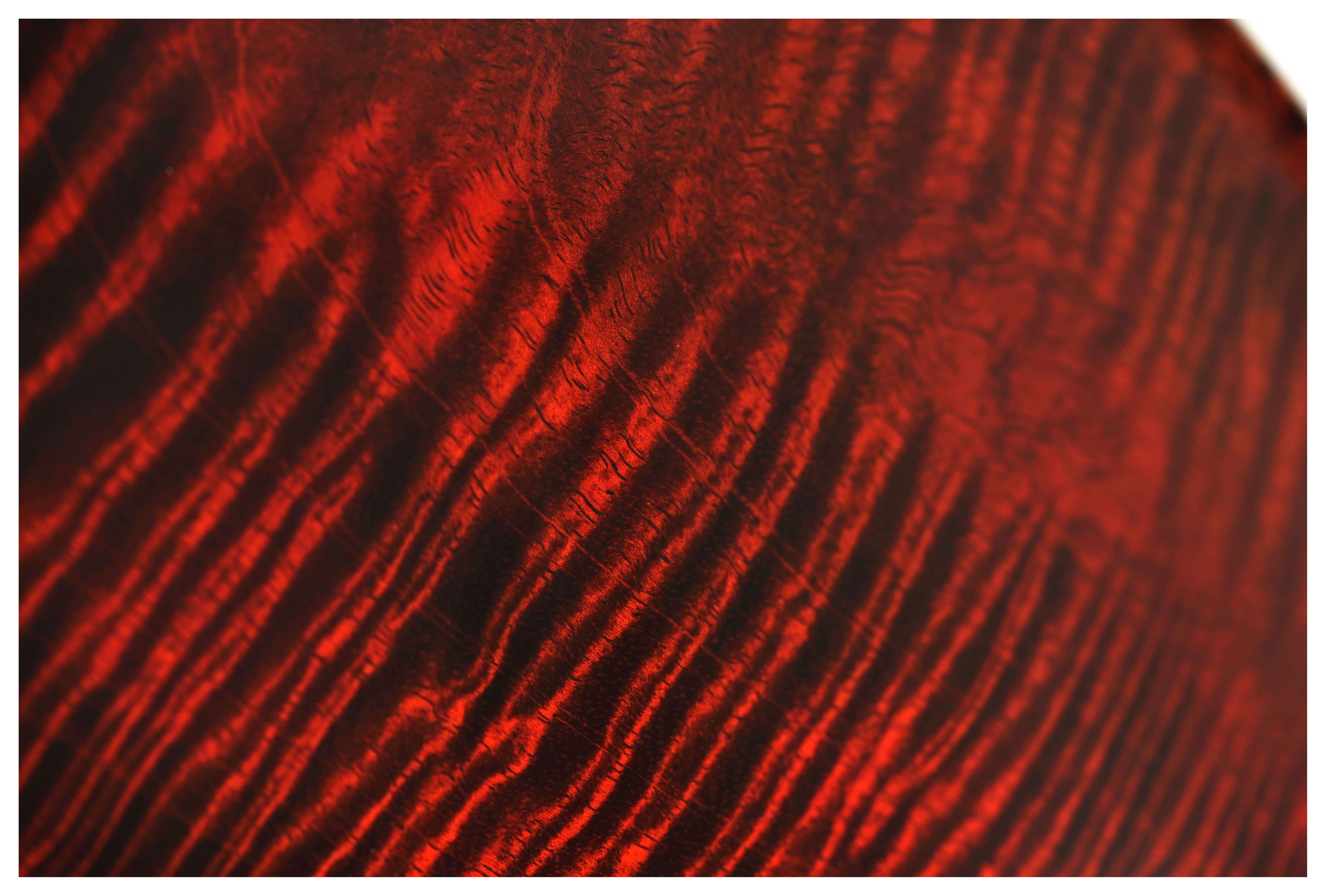 PRS Limited Edition Studio Mango Top Orange Tiger #0421315