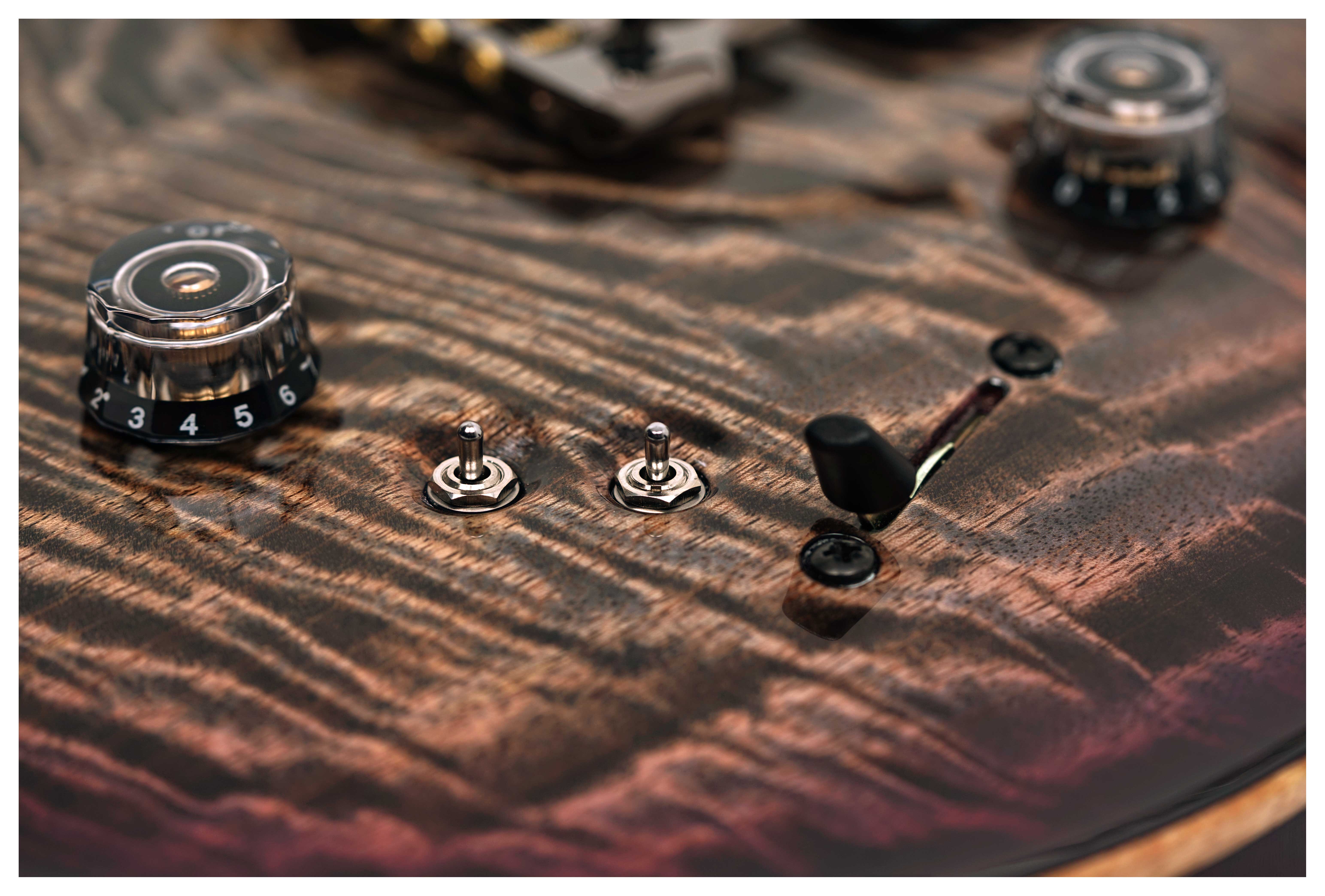 PRS Limited Edition Special Semi-Hollow Mango Charcoal Purple Burst #0421480