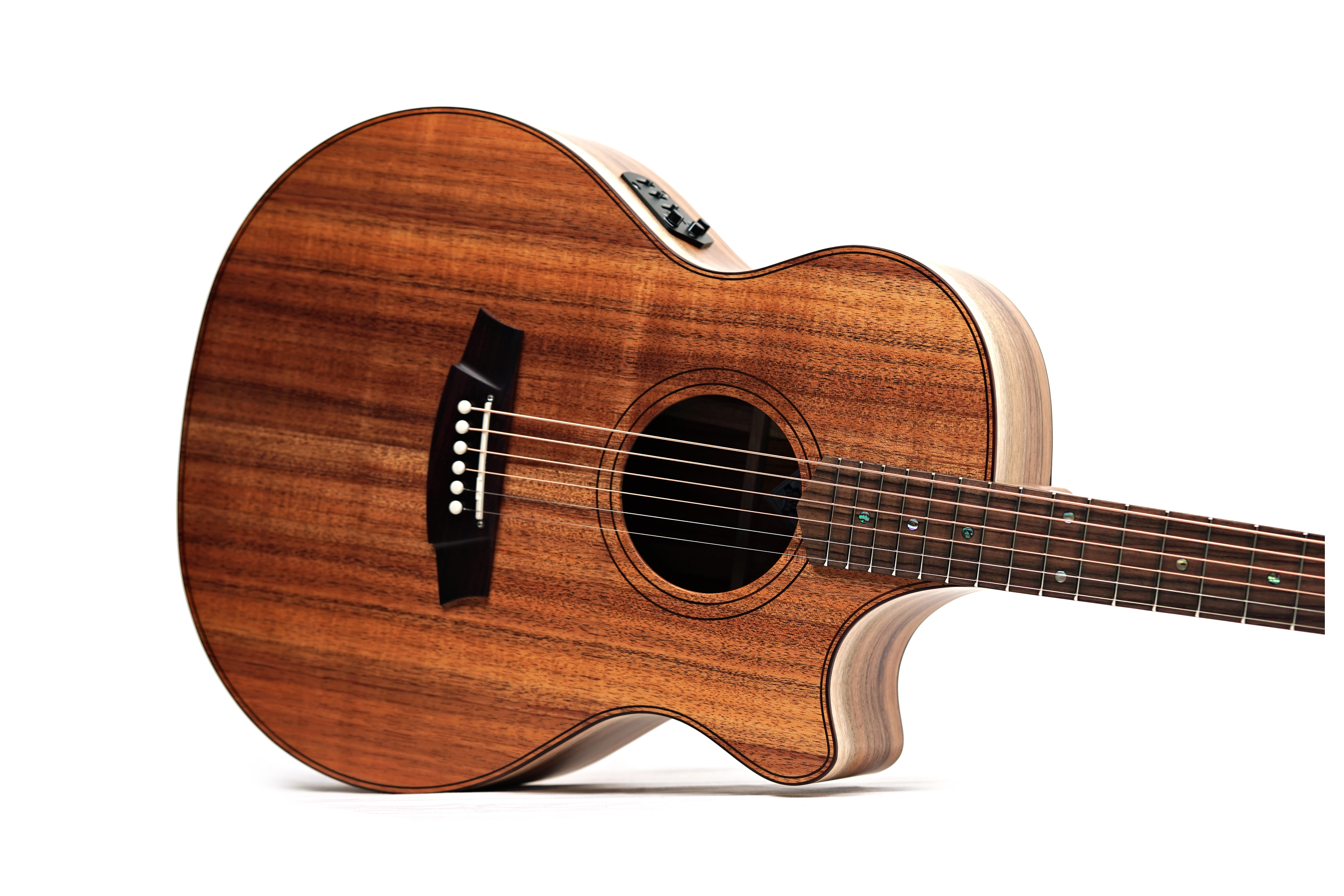Cole Clark AN2EC Blackwood Rosewood Fingerboard #2607-12481