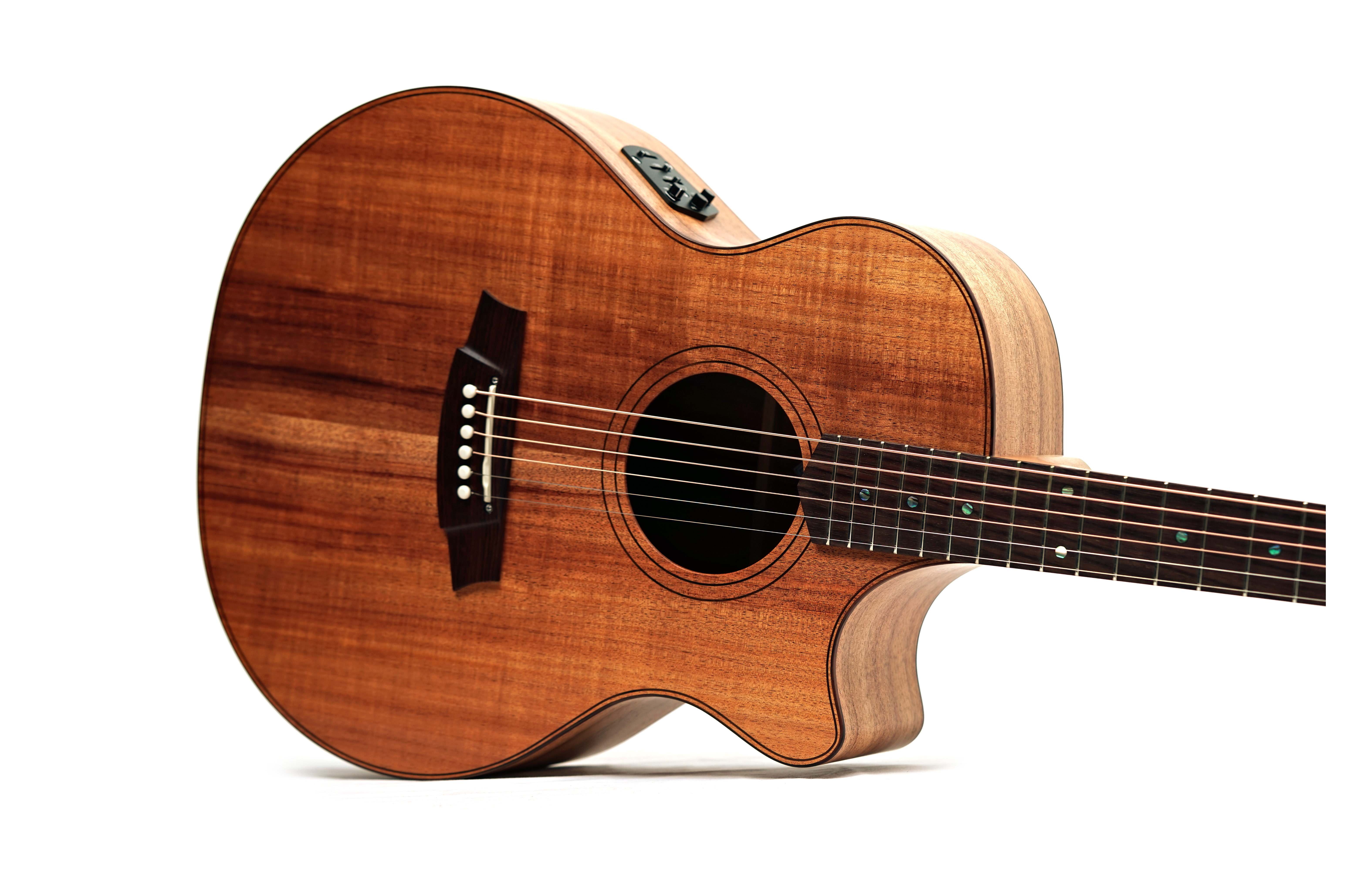 Cole Clark AN2EC Blackwood Rosewood Fingerboard #2606-12474