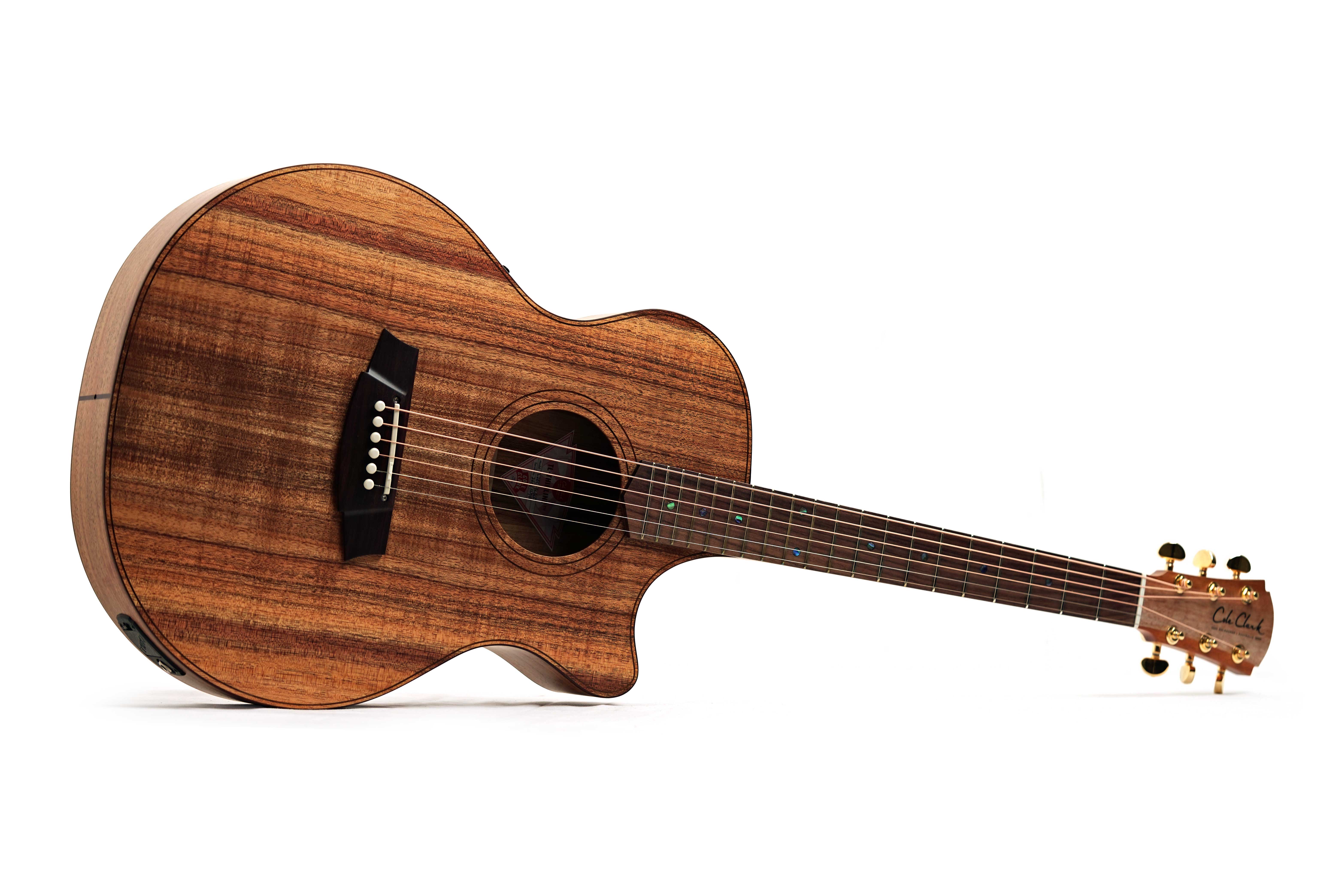 Cole Clark TL2EC Thinline Blackwood Rosewood Fingerboard #2606-12799