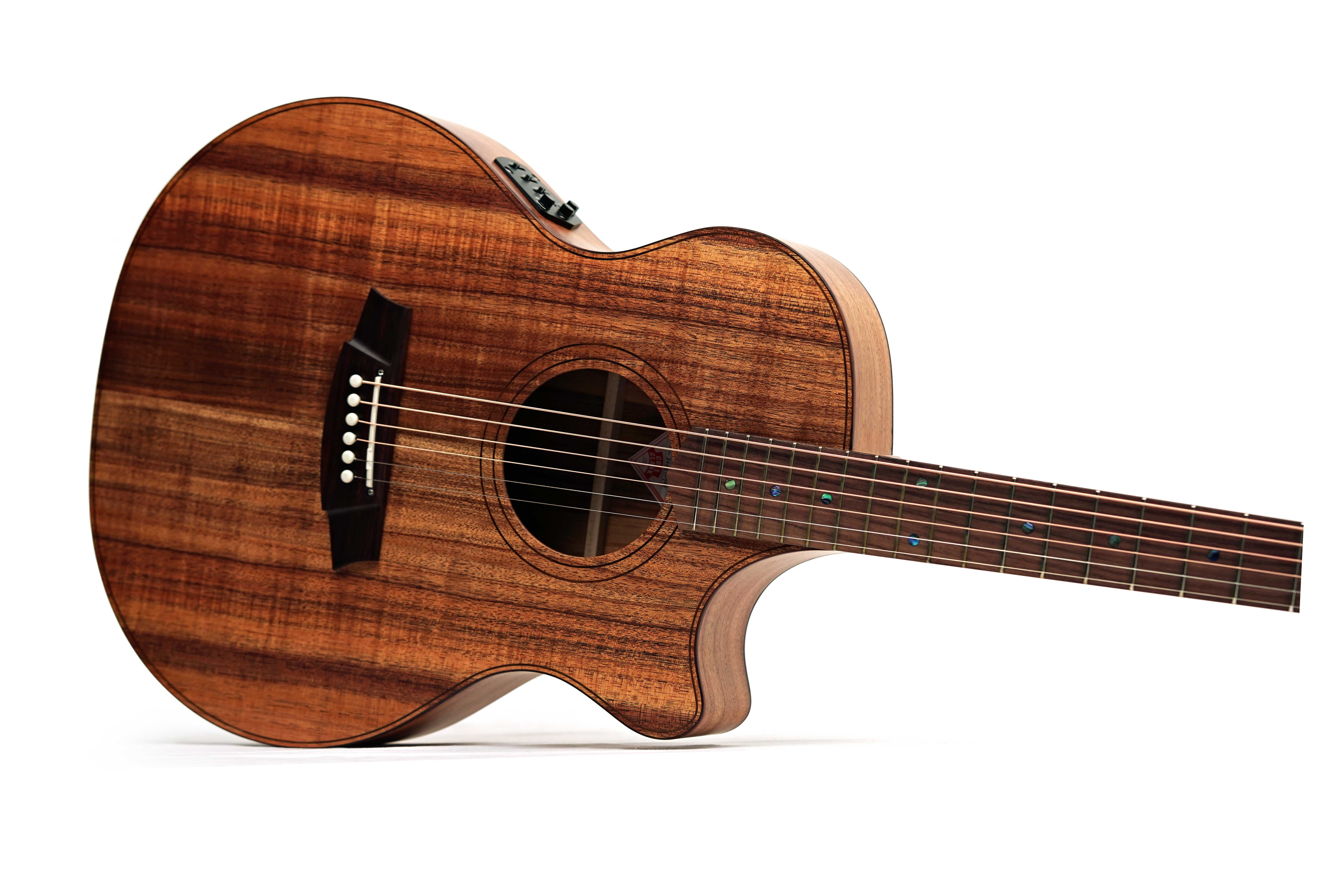 Cole Clark TL2EC Thinline Blackwood Rosewood Fingerboard #2606-12799