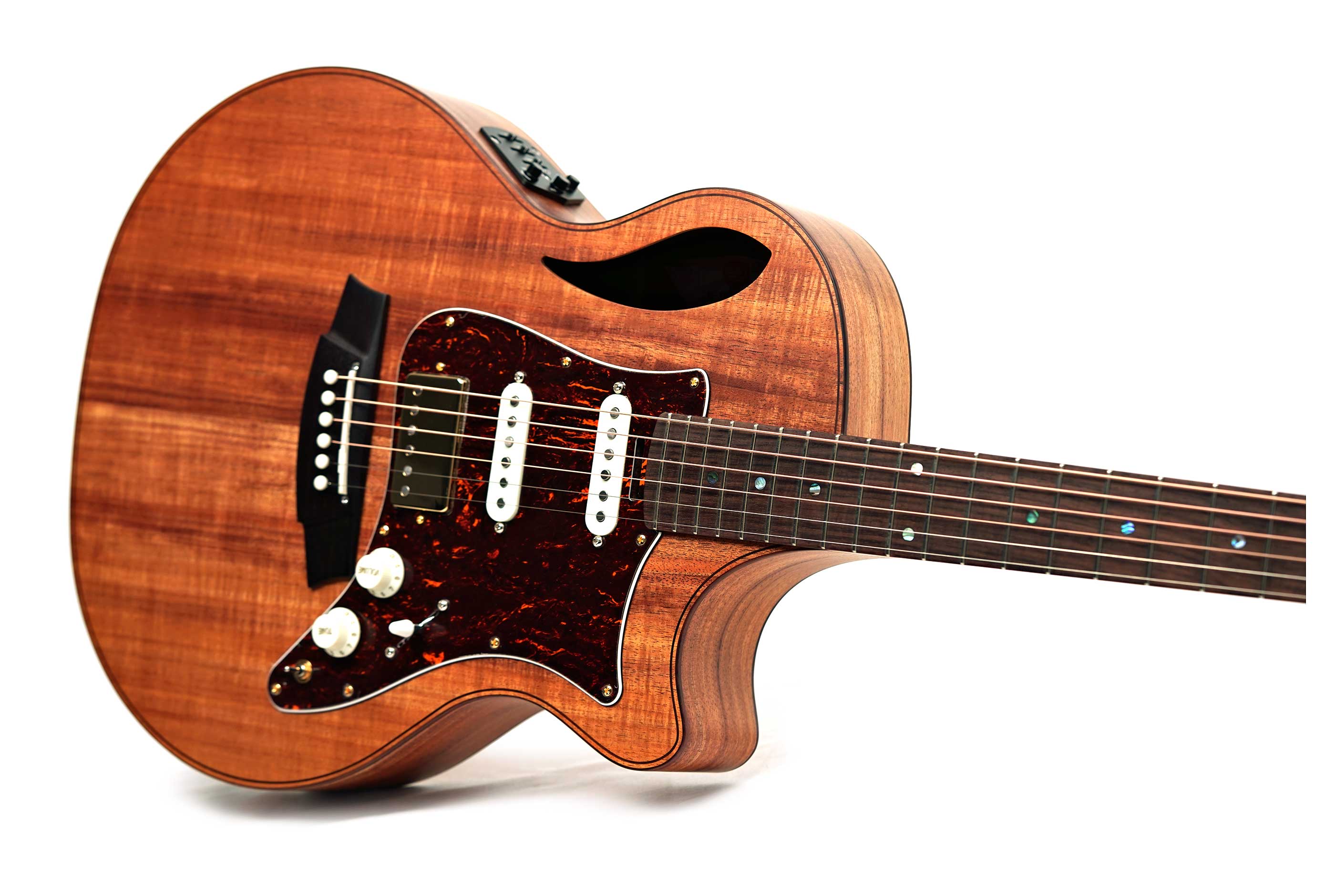 Cole Clark TL2EC Thinline Blackwood HSS Rosewood Fingerboard #2606-11862