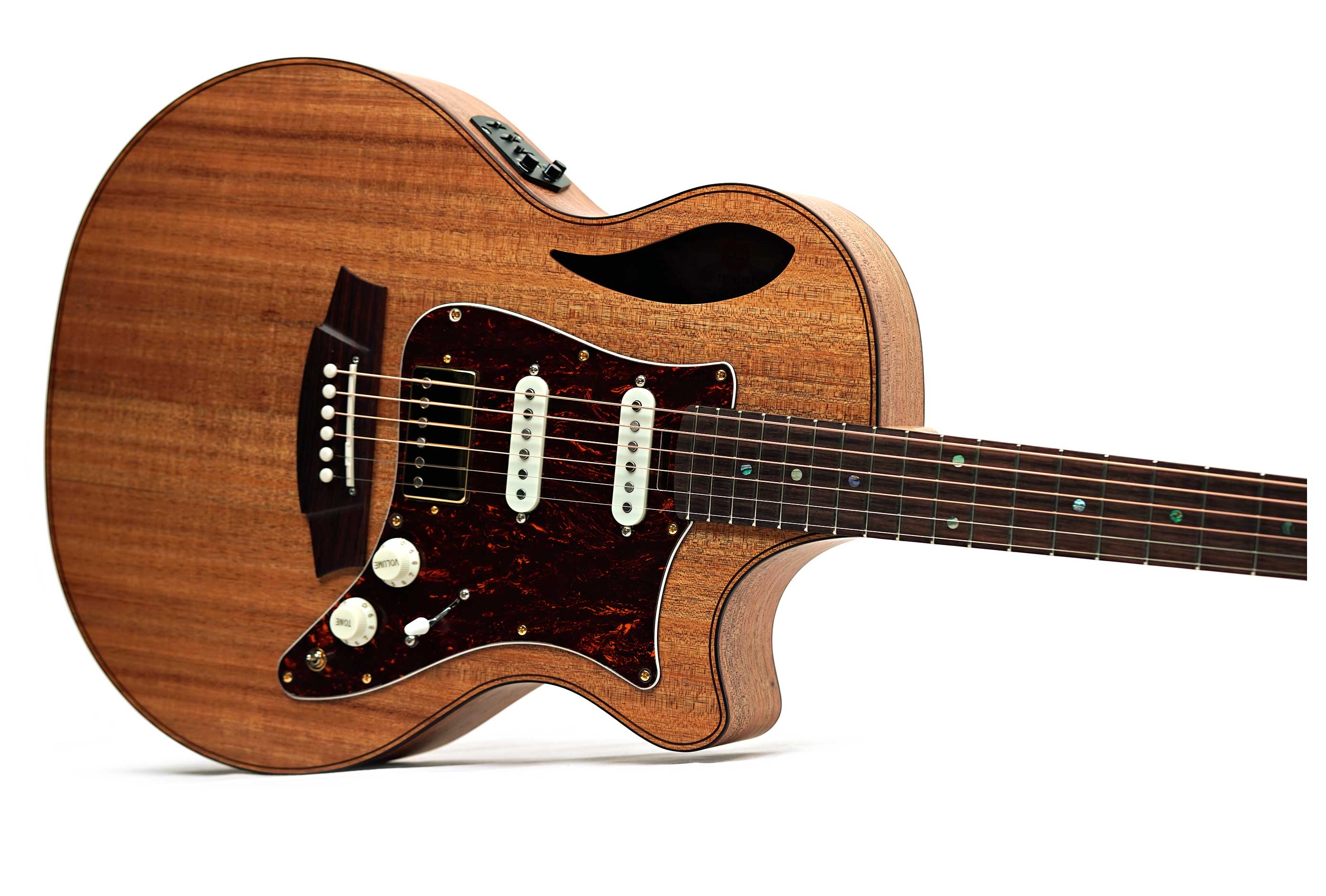 Cole Clark TL2EC Thinline Blackwood HSS Rosewood Fingerboard #2606-11903