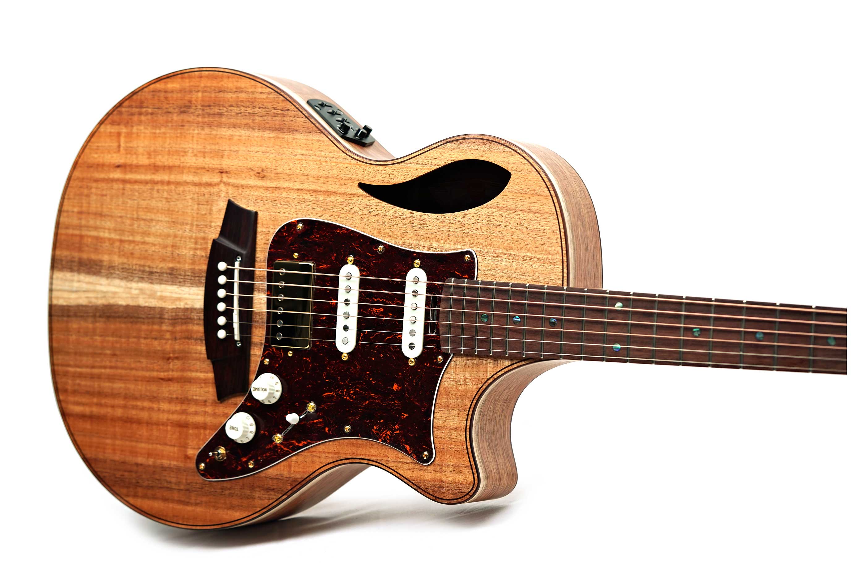 Cole Clark TL2EC Thinline Blackwood HSS Rosewood Fingerboard #2607-11873