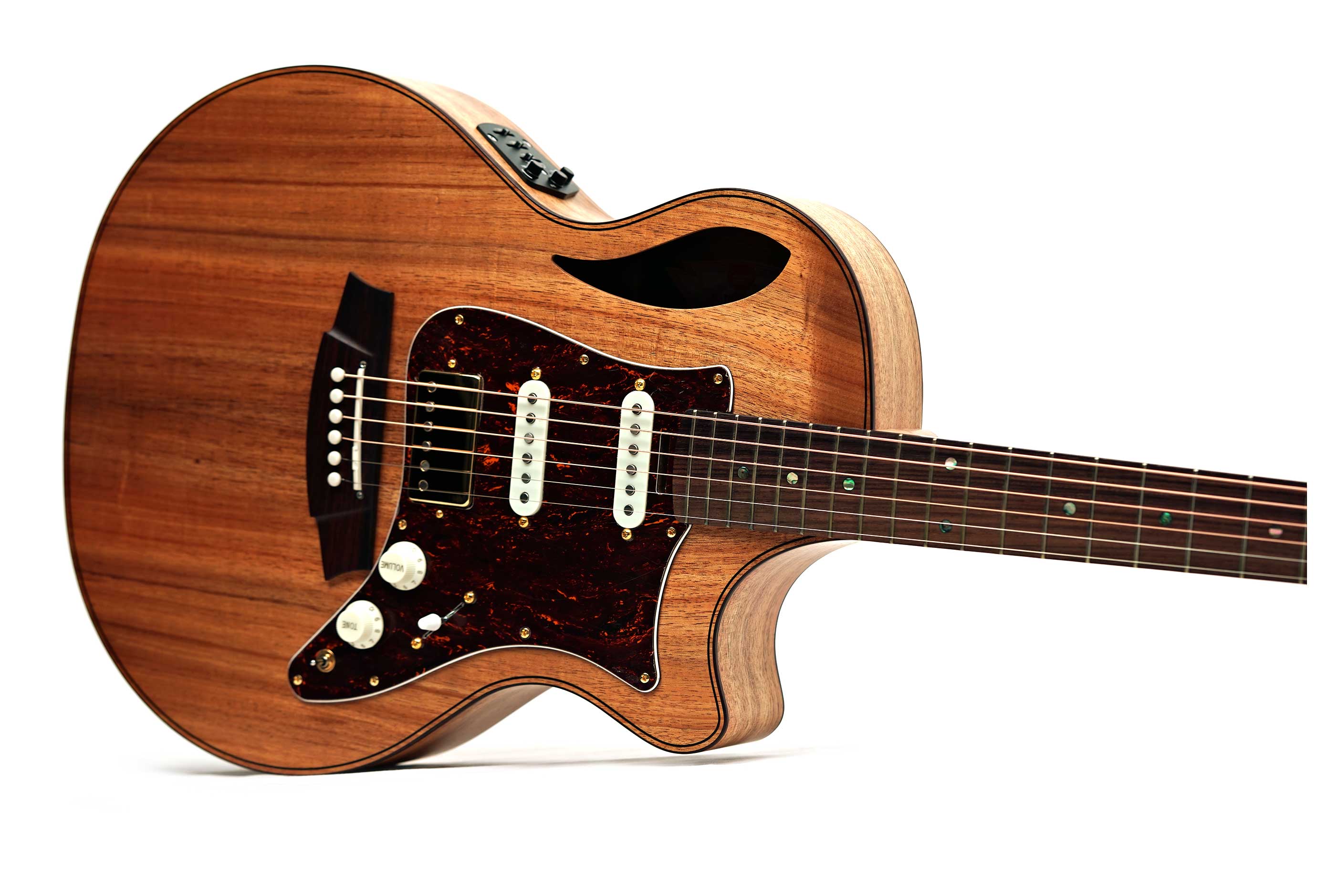 Cole Clark TL2EC Thinline Blackwood HSS Rosewood Fingerboard #2606-12300