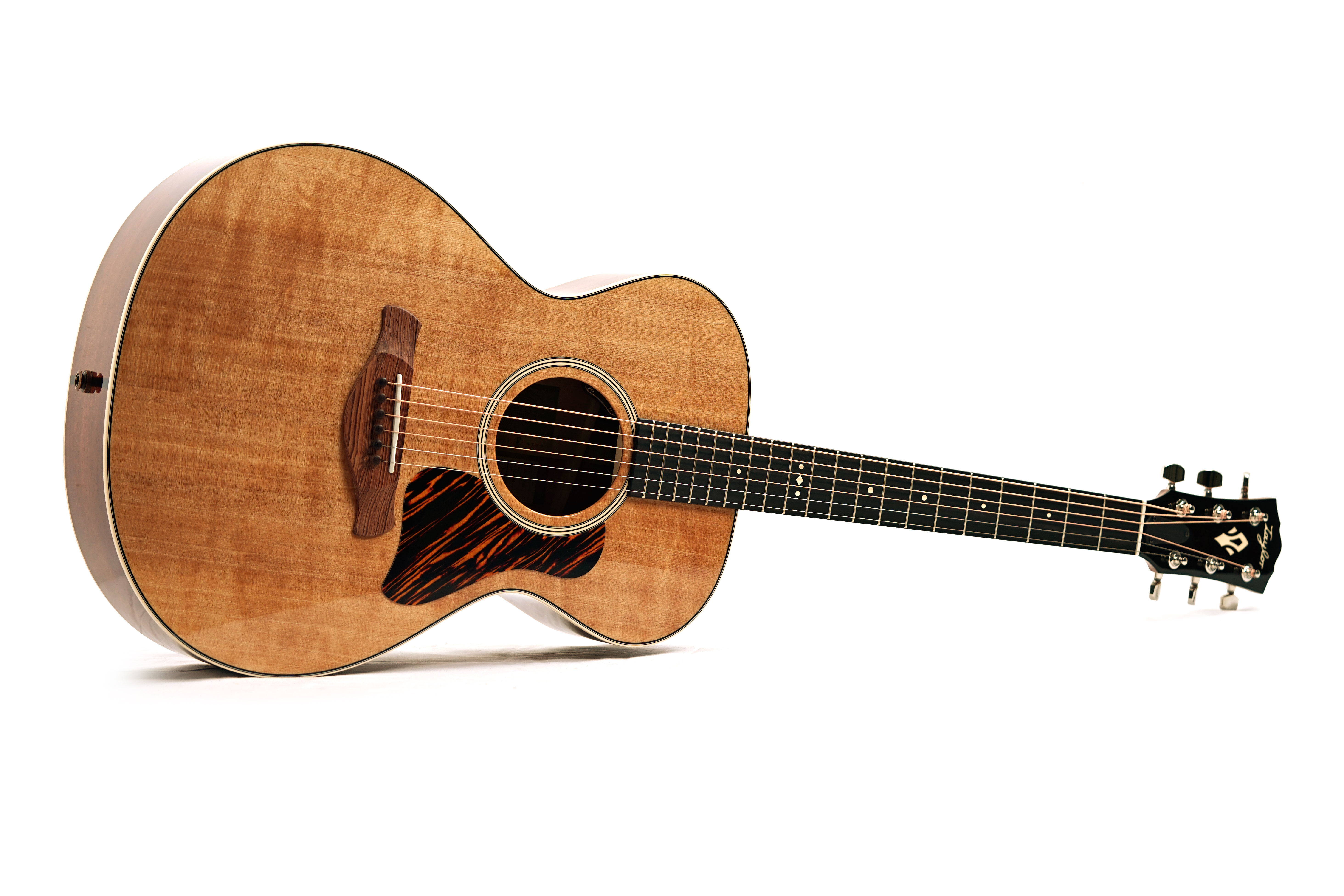 Taylor Gold Label 512e Grand Concert #1202026028