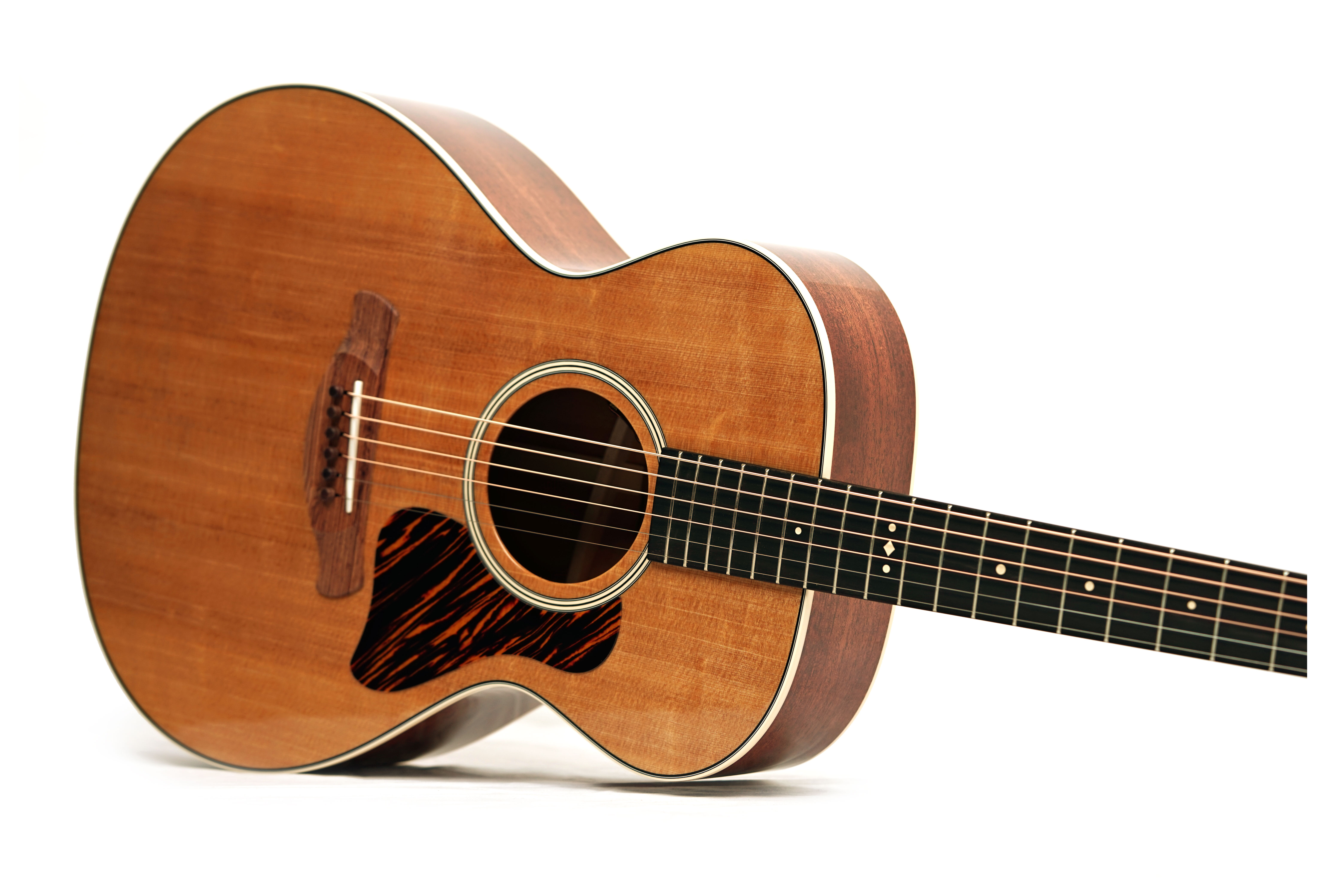 Taylor Gold Label 512e Grand Concert #1202026028