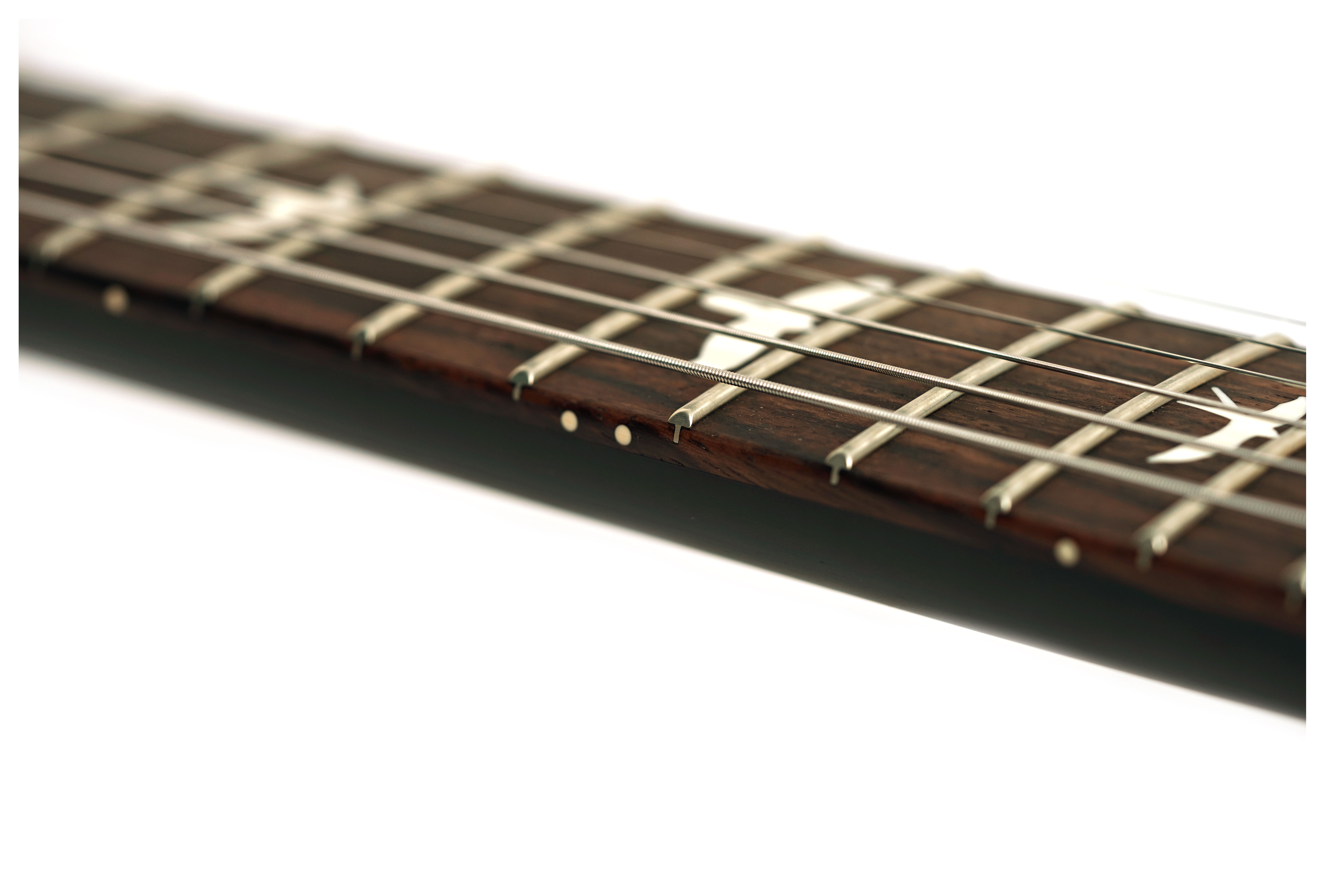 PRS CE24 Special Custom Colour Black Sparkle #419855