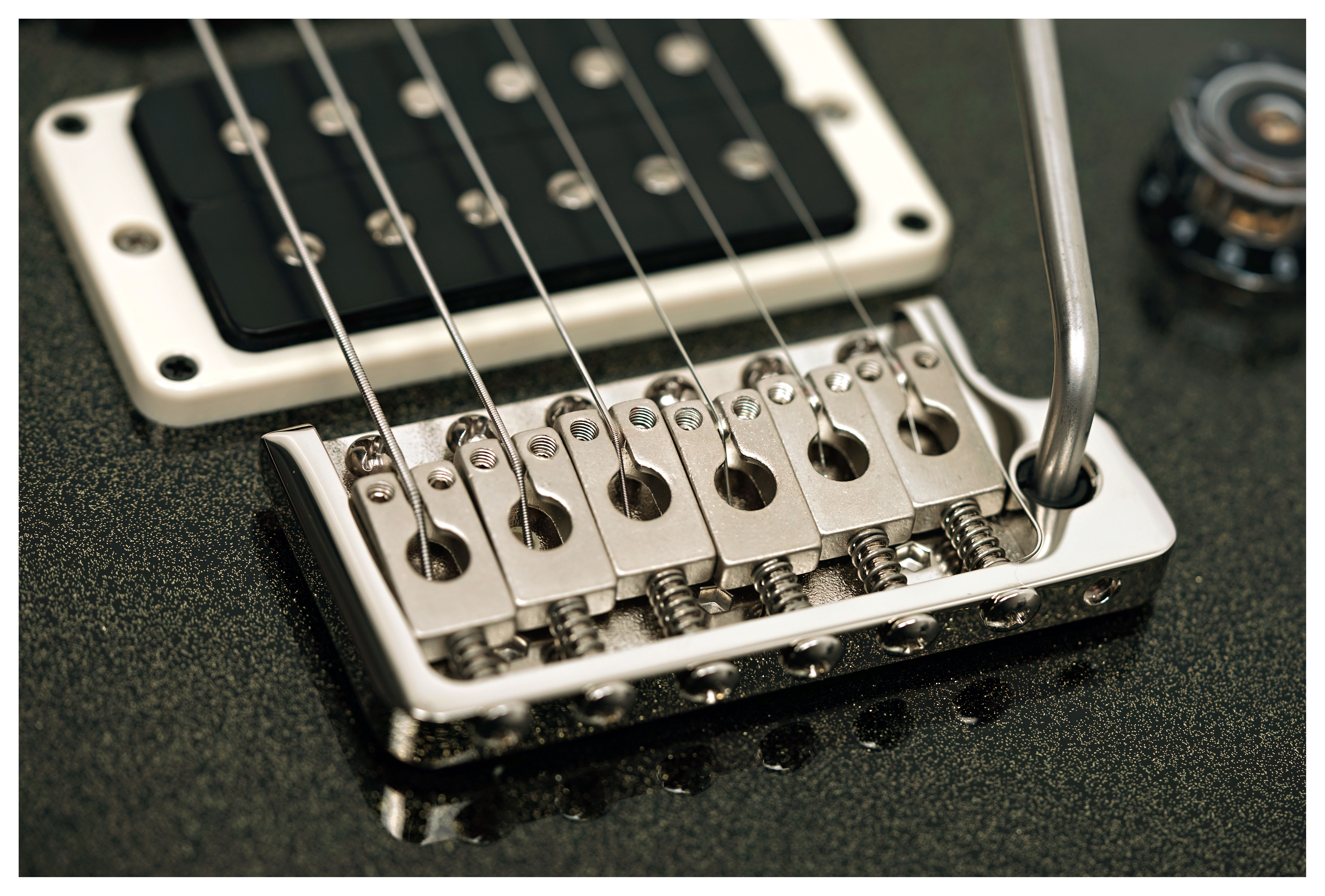 PRS CE24 Special Custom Colour Black Sparkle #419855