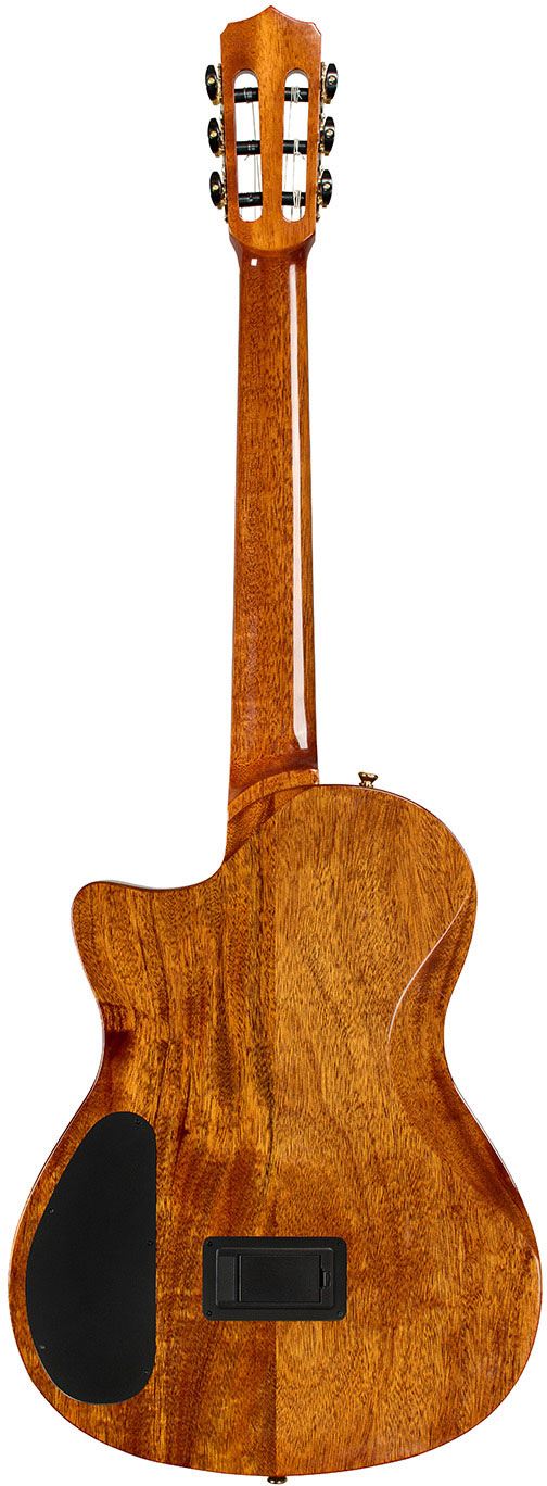 Cordoba Stage Artist Agave Burst