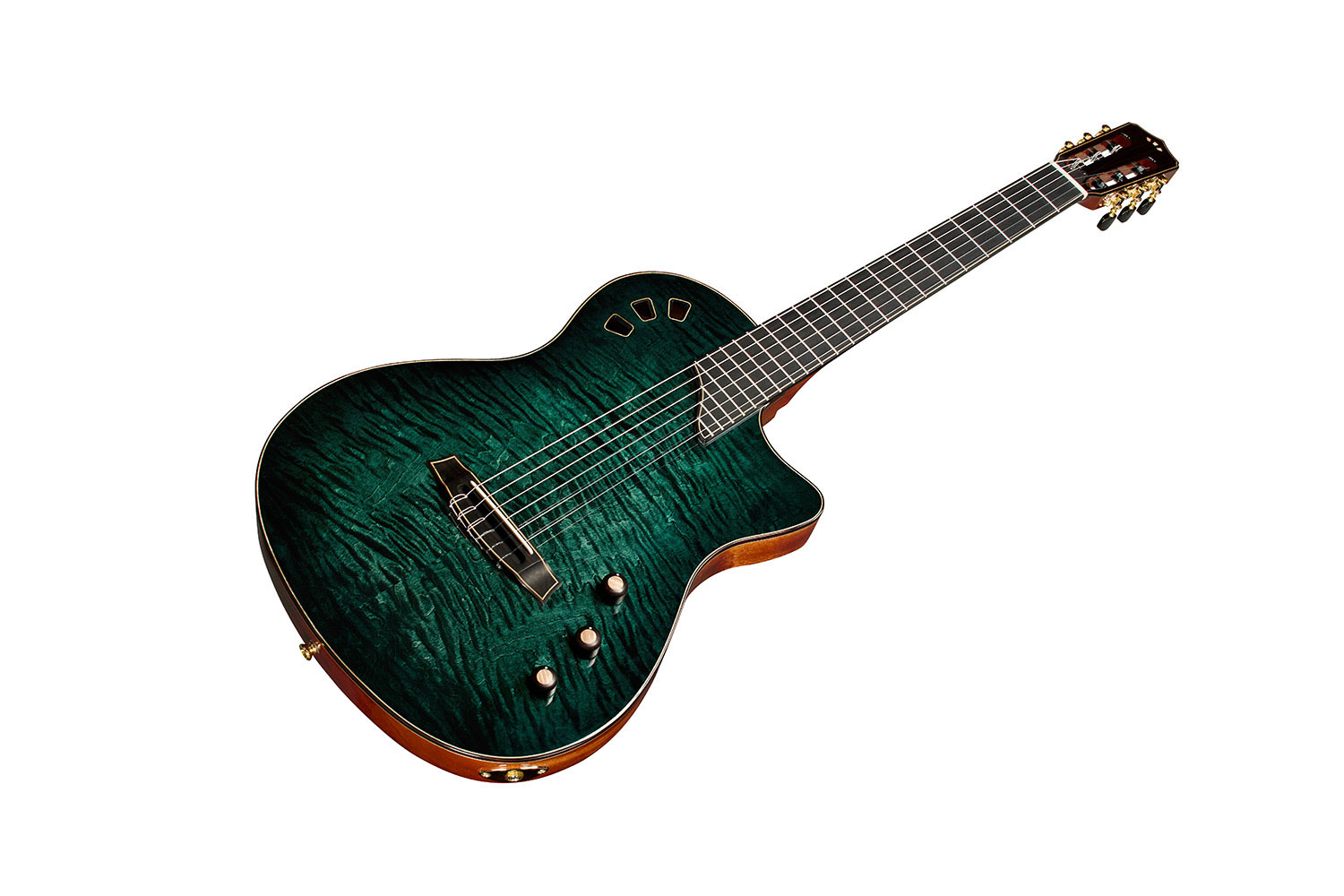 Cordoba Stage Artist Agave Burst