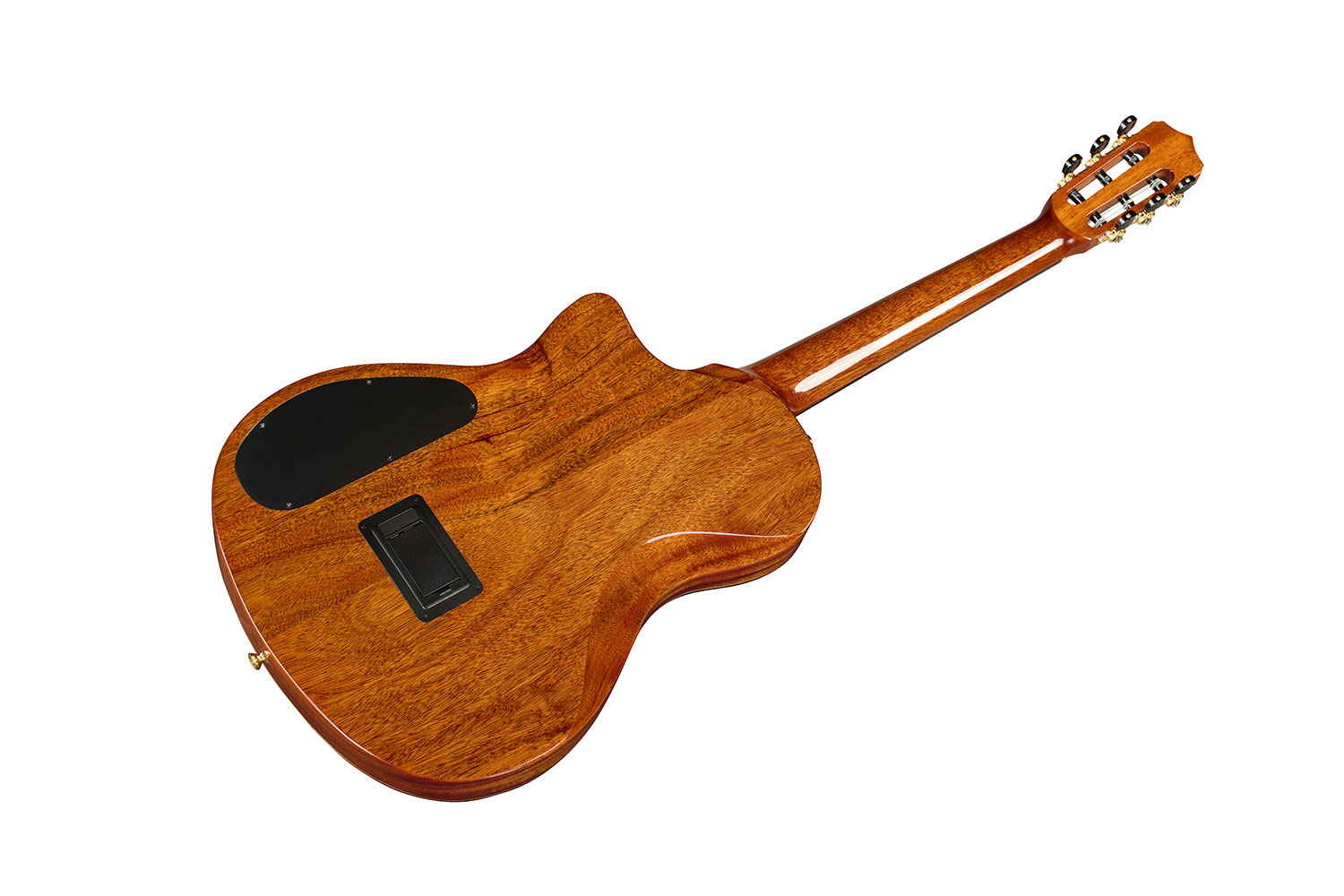 Cordoba Stage Artist Agave Burst