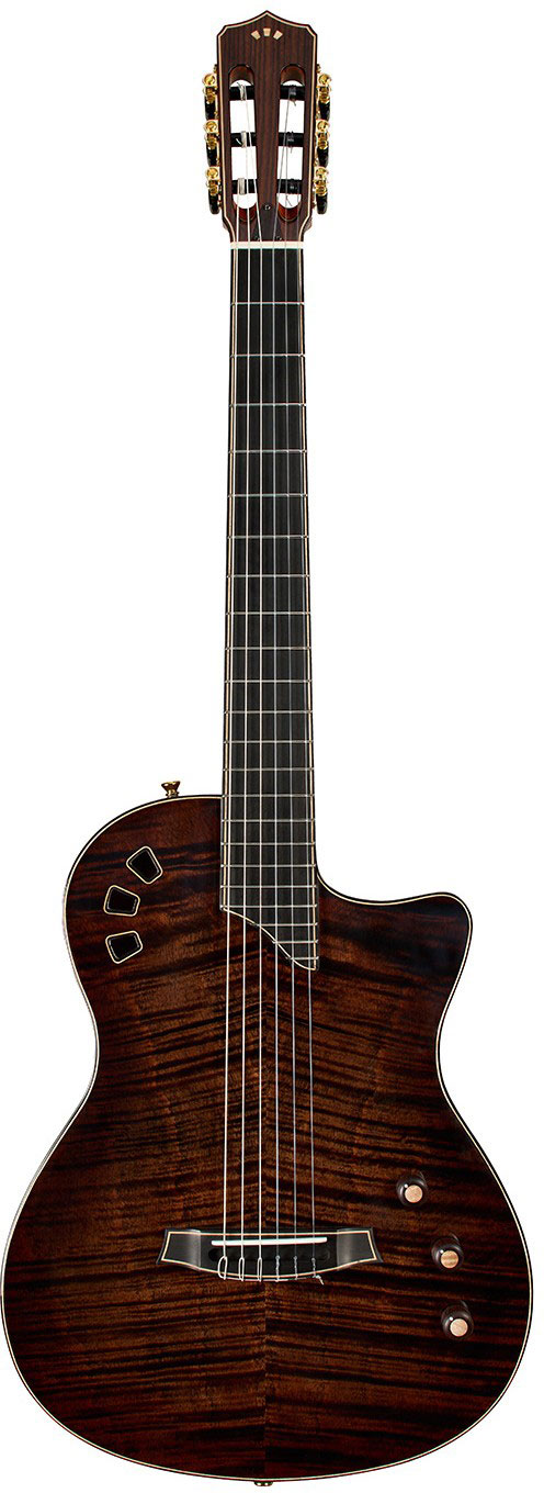 Cordoba Stage Artist Habano Burst