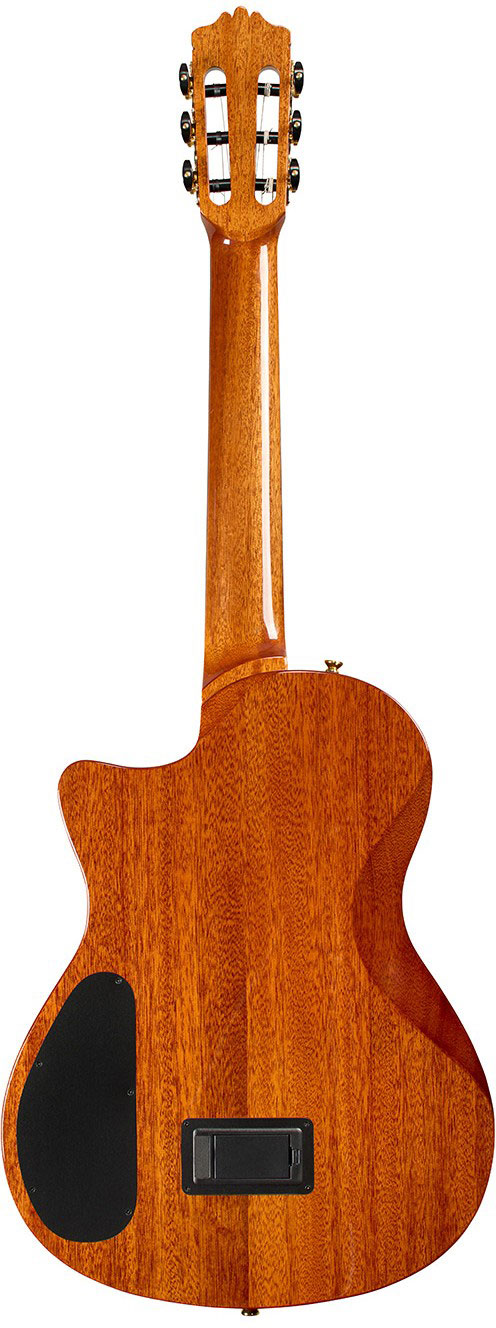 Cordoba Stage Artist Traditional