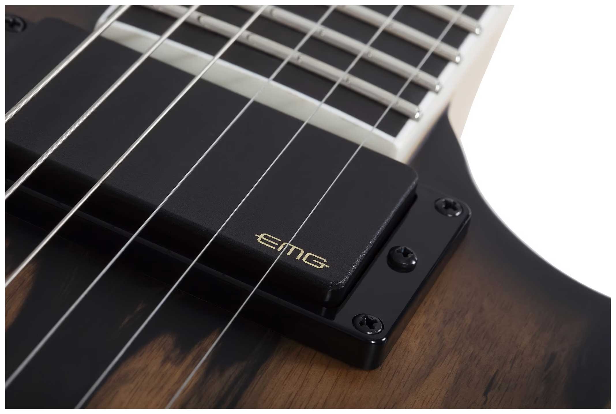 Wylde Audio Wrathmaker Pale Moon Ebony Black Burst