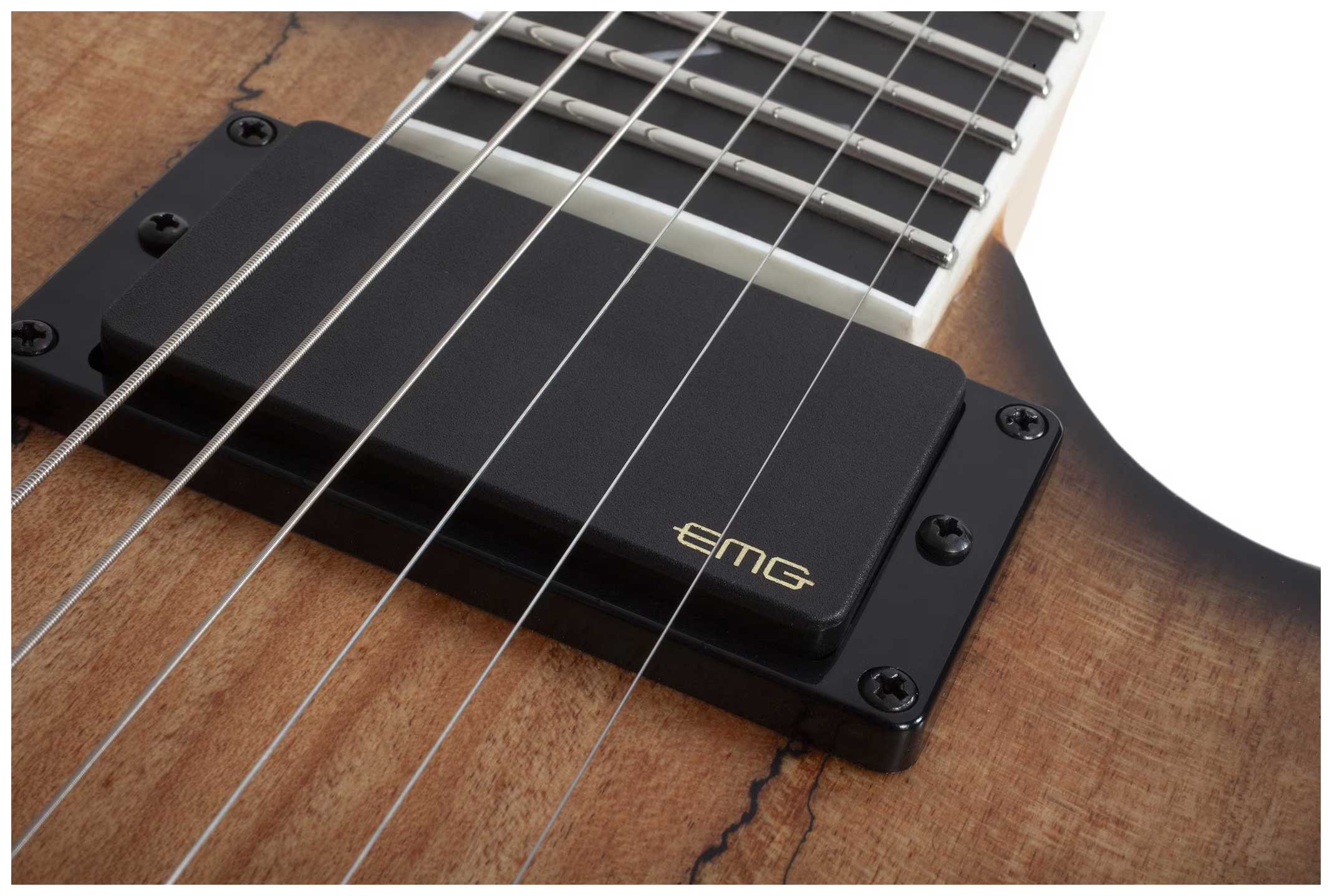 Wylde Audio Wrathmaker Spalted Maple Black Burst